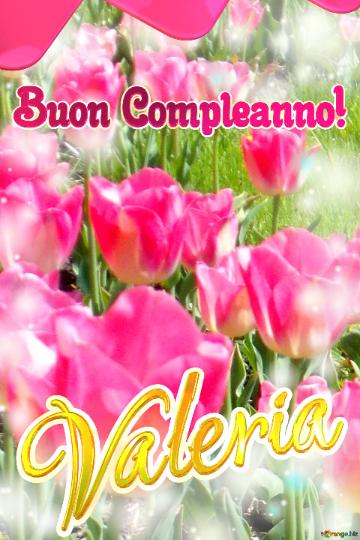 Buon Compleanno! Valeria   Questi Tulipani Ti Portano La Sincerità E La Verità Nel Tuo Cuore,...