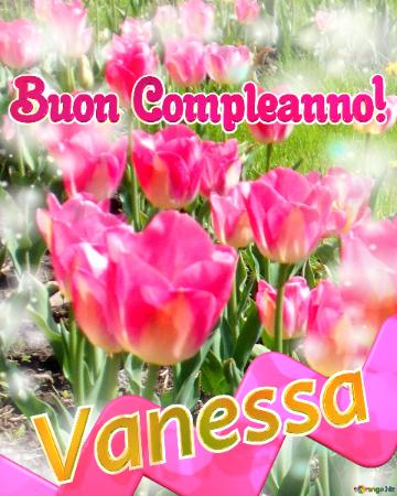 Buon Compleanno! Vanessa   Buona Primavera, Che Questi Tulipani Ti Portino La Freschezza E La...