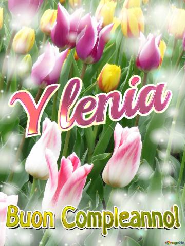 Buon Compleanno! Ylenia  La Bellezza Dei Tulipani è Un Richiamo Alla Bellezza Della Vita, Goditi...