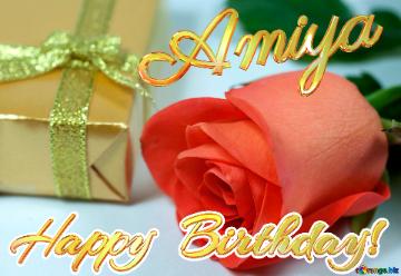 Happy  Birthday! Amiya 