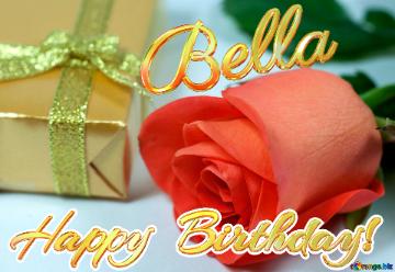 Happy  Birthday! Bella  Gift  At  Anniversary