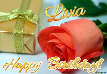 Happy  Birthday! Livia  Gift  At  Anniversary