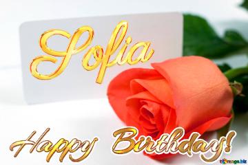 Happy  Birthday! Sofia  Rosa   Business Card . On  White  Background.