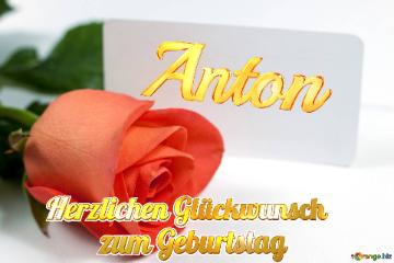 Herzlichen Glückwunsch          Zum Geburtstag Anton  Rose Blume