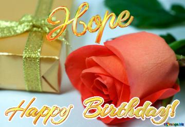 Hope Happy  Birthday!  Gift  At  Anniversary