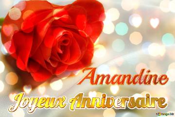 Joyeux Anniversaire Amandine  Fond de rose