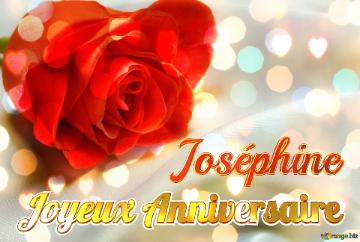 Joyeux Anniversaire Joséphine  Fond de rose