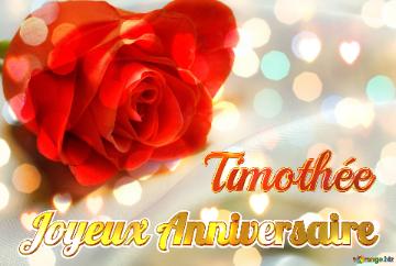 Joyeux Anniversaire Timothée  Fond De Rose