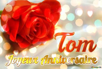 Joyeux Anniversaire Tom  Fond De Rose