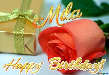 Mila Happy  Birthday!  Gift  At  Anniversary