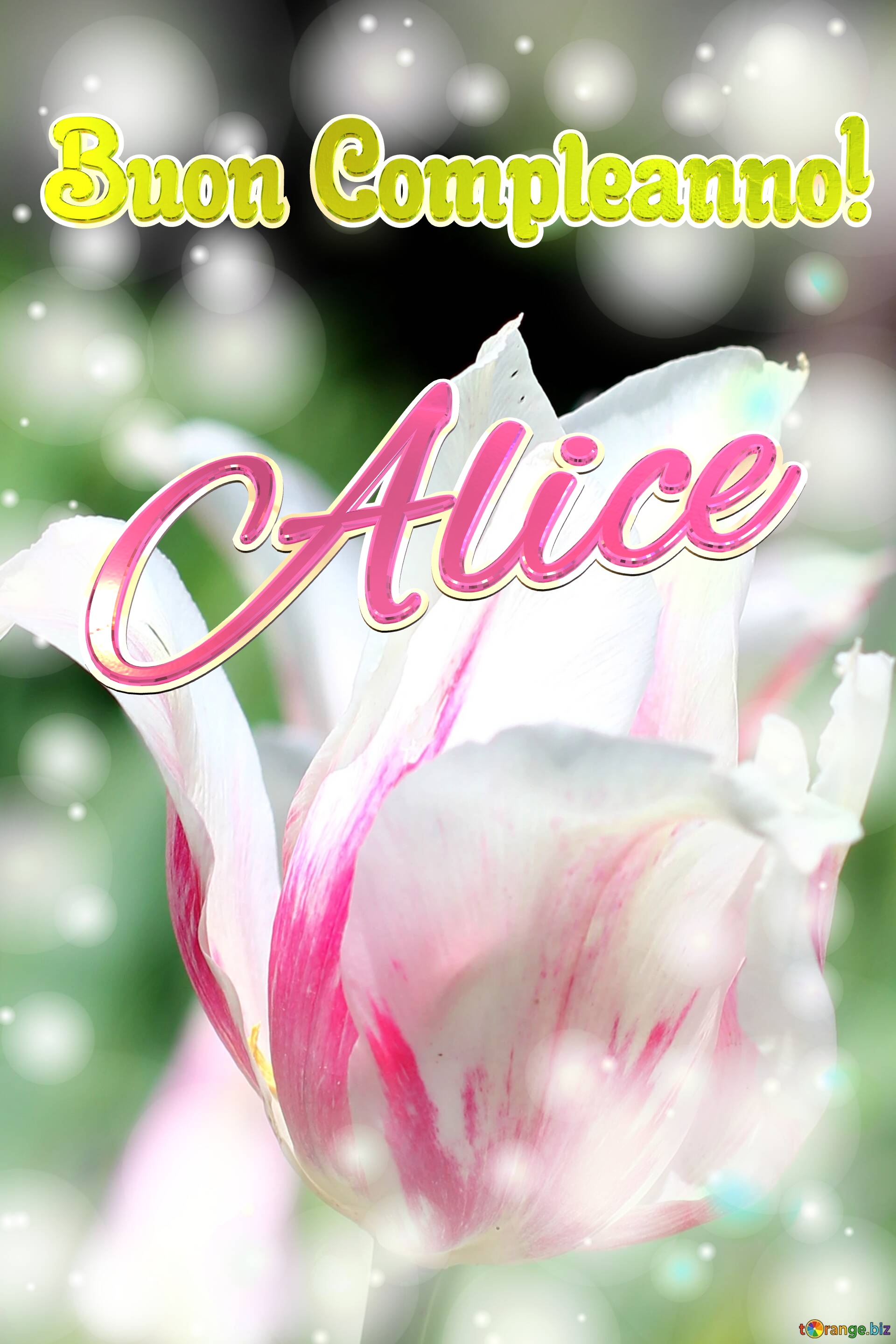 Buon Compleanno! Alice  Questi tulipani ti augurano un giorno pieno di colori e sorrisi. №0