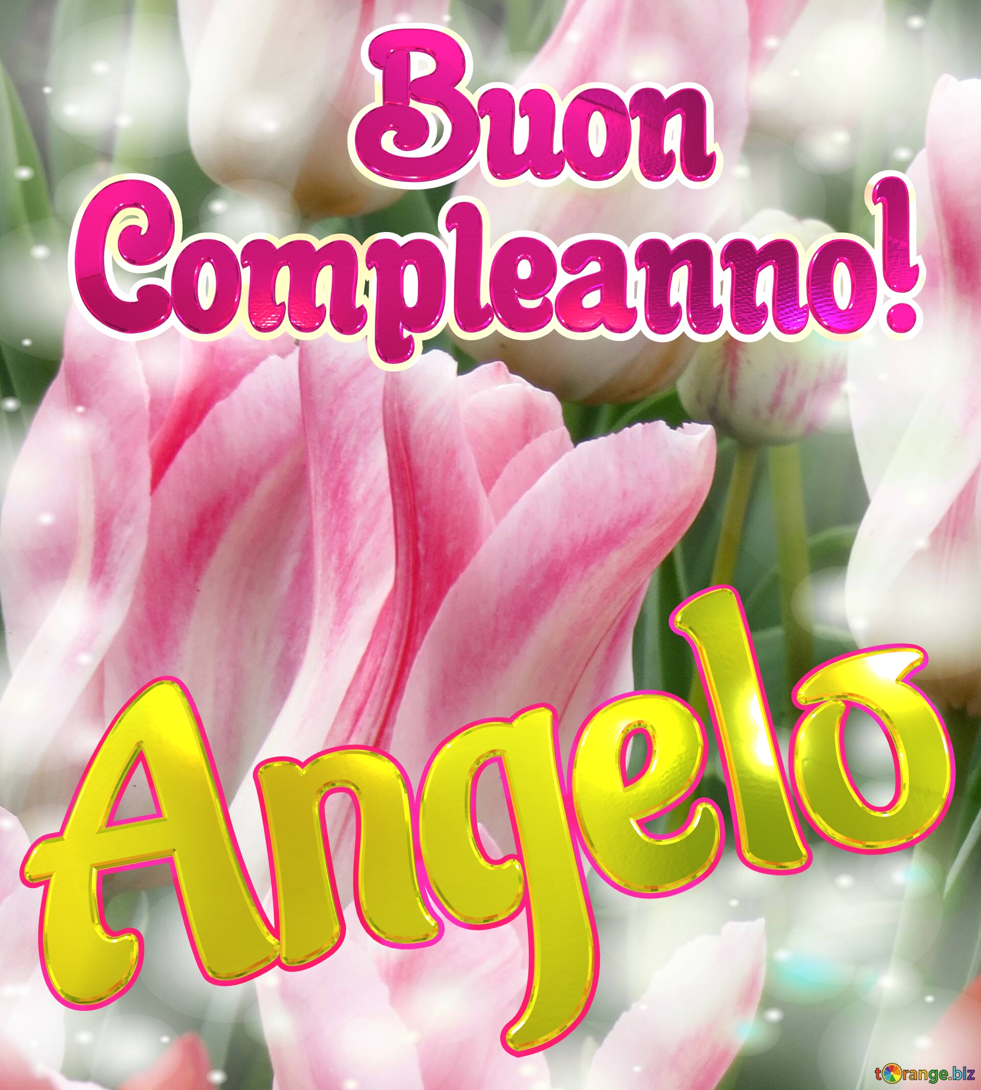       Buon  Compleanno! Angelo  La bellezza dei tulipani è un richiamo alla semplicità della vita, goditela al massimo. №0