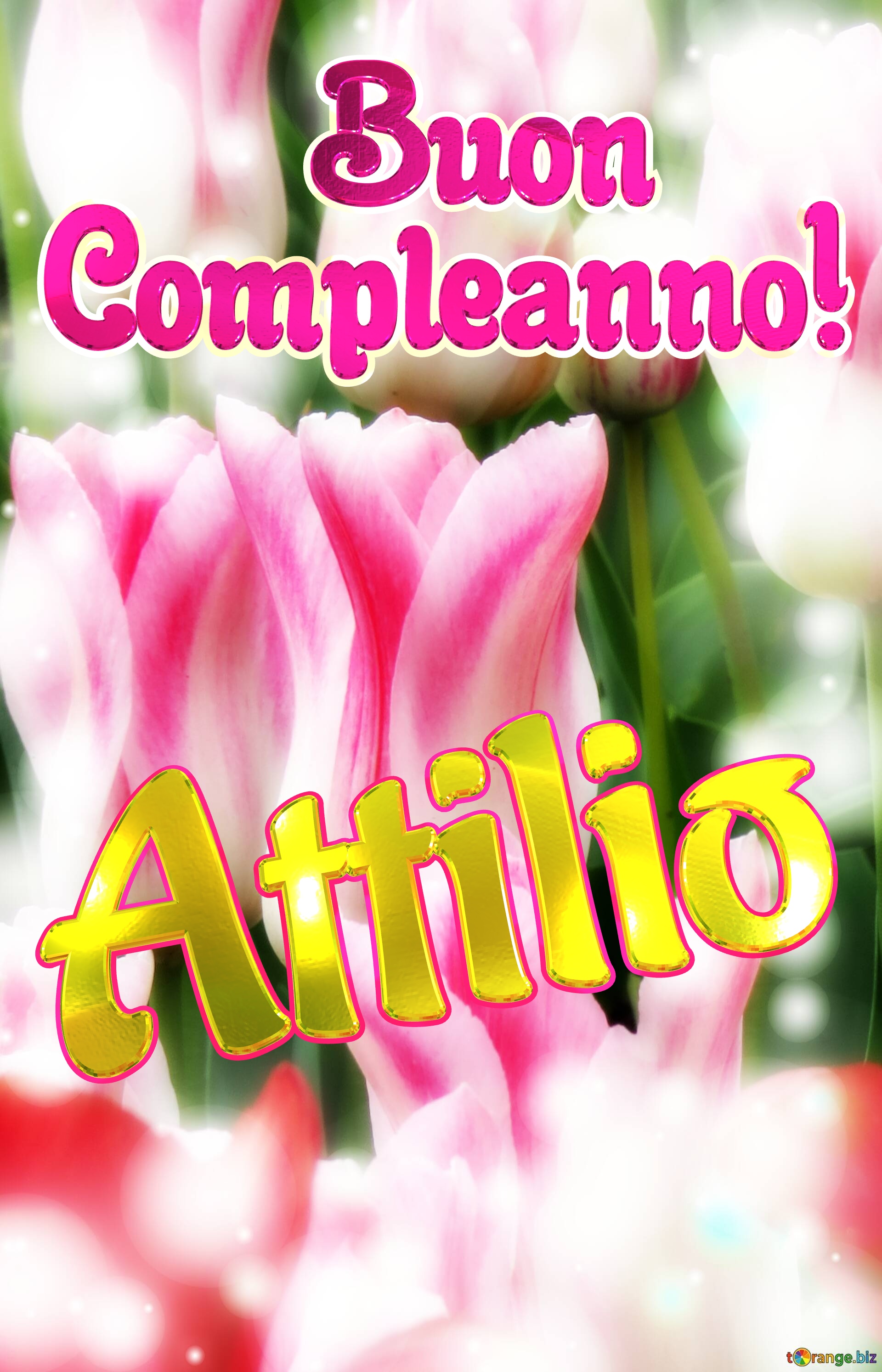       Buon  Compleanno! Attilio  Che questi tulipani ti portino la forza e il coraggio per affrontare ogni giorno della tua vita. №0
