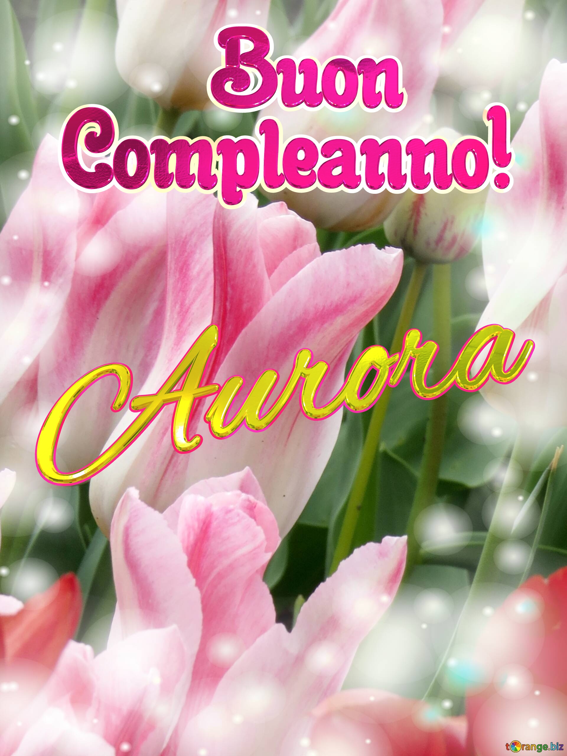       Buon  Compleanno! Aurora  Buona primavera, che questi tulipani ti portino la speranza e la felicità. №0