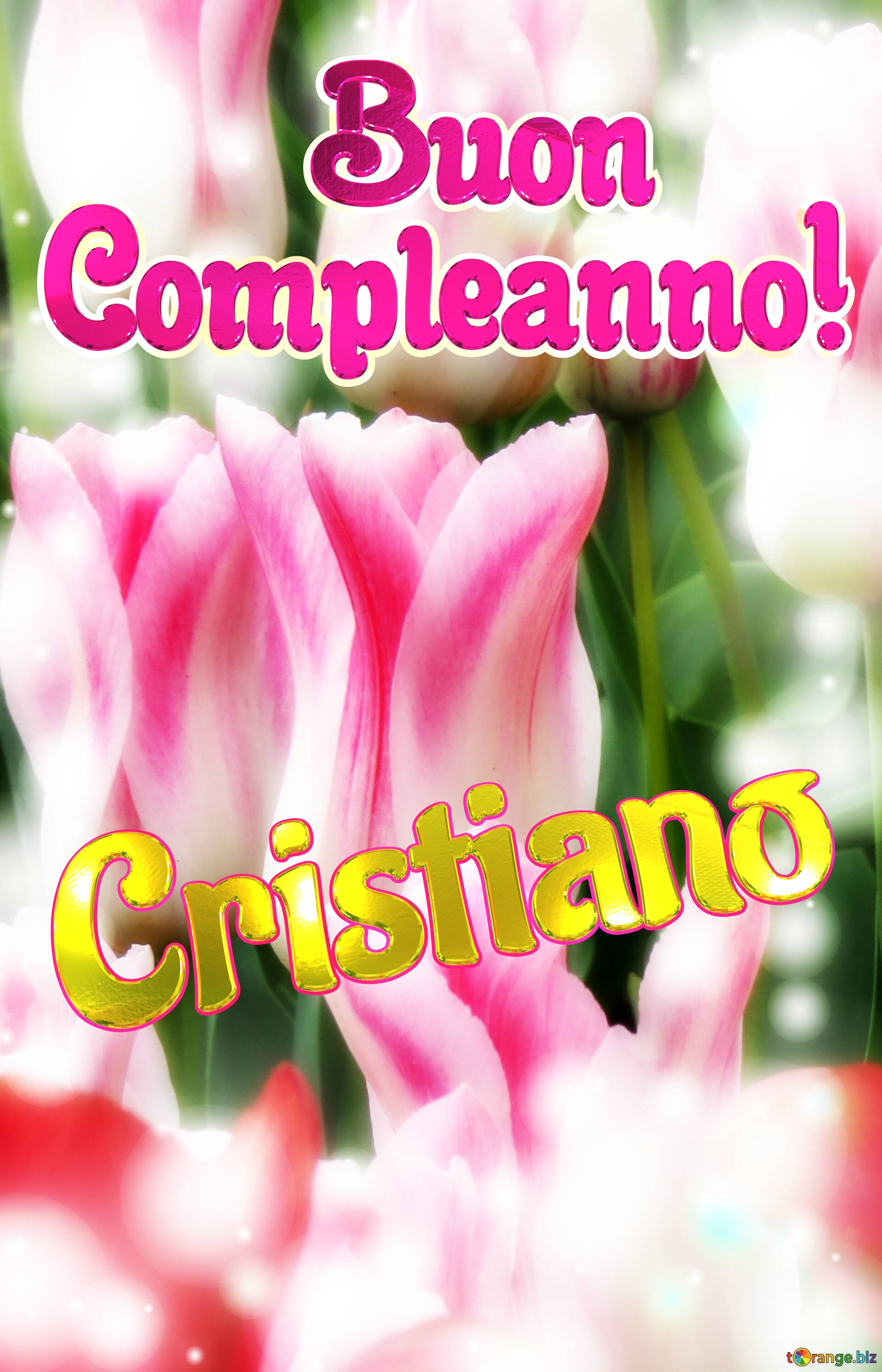       Buon  Compleanno! Cristiano  Che questi tulipani ti portino la forza e il coraggio per affrontare ogni giorno della tua vita. №0