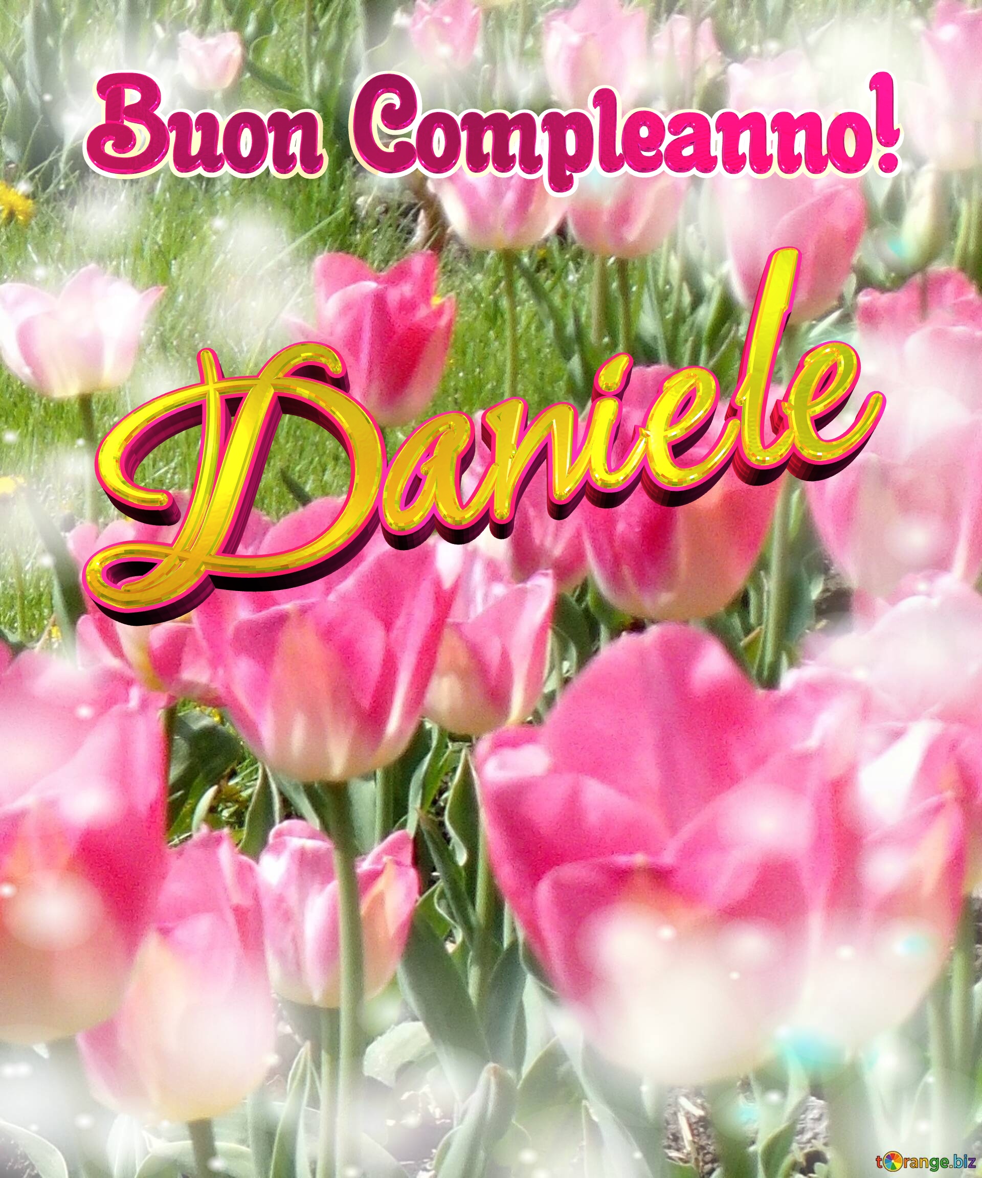 Buon Compleanno! Daniele  Che questi tulipani ti portino la gioia e la felicità che hai sempre desiderato. №0