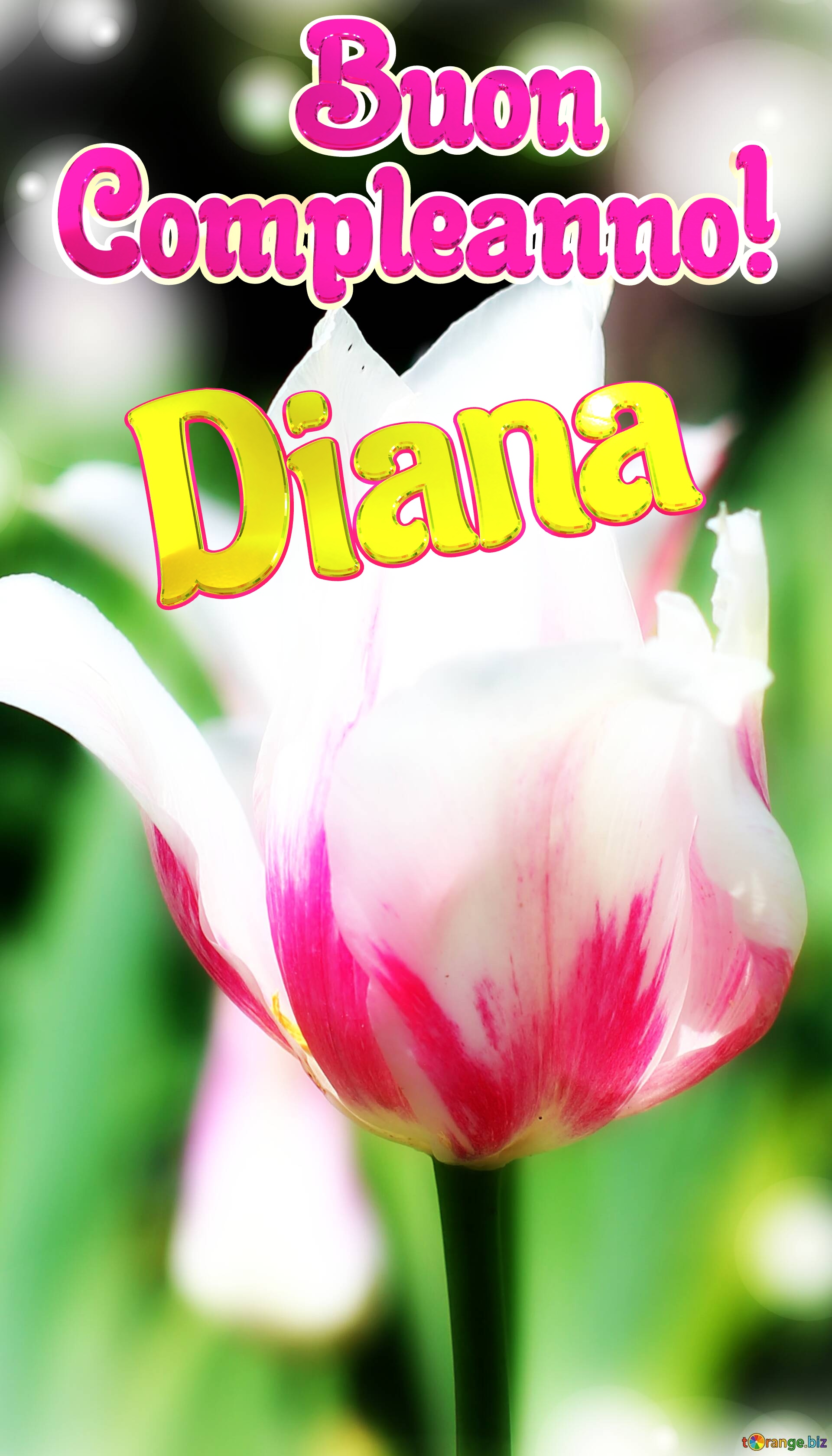       Buon  Compleanno! Diana  Che questi fiori ti portino la stessa bellezza e felicità della primavera. №0