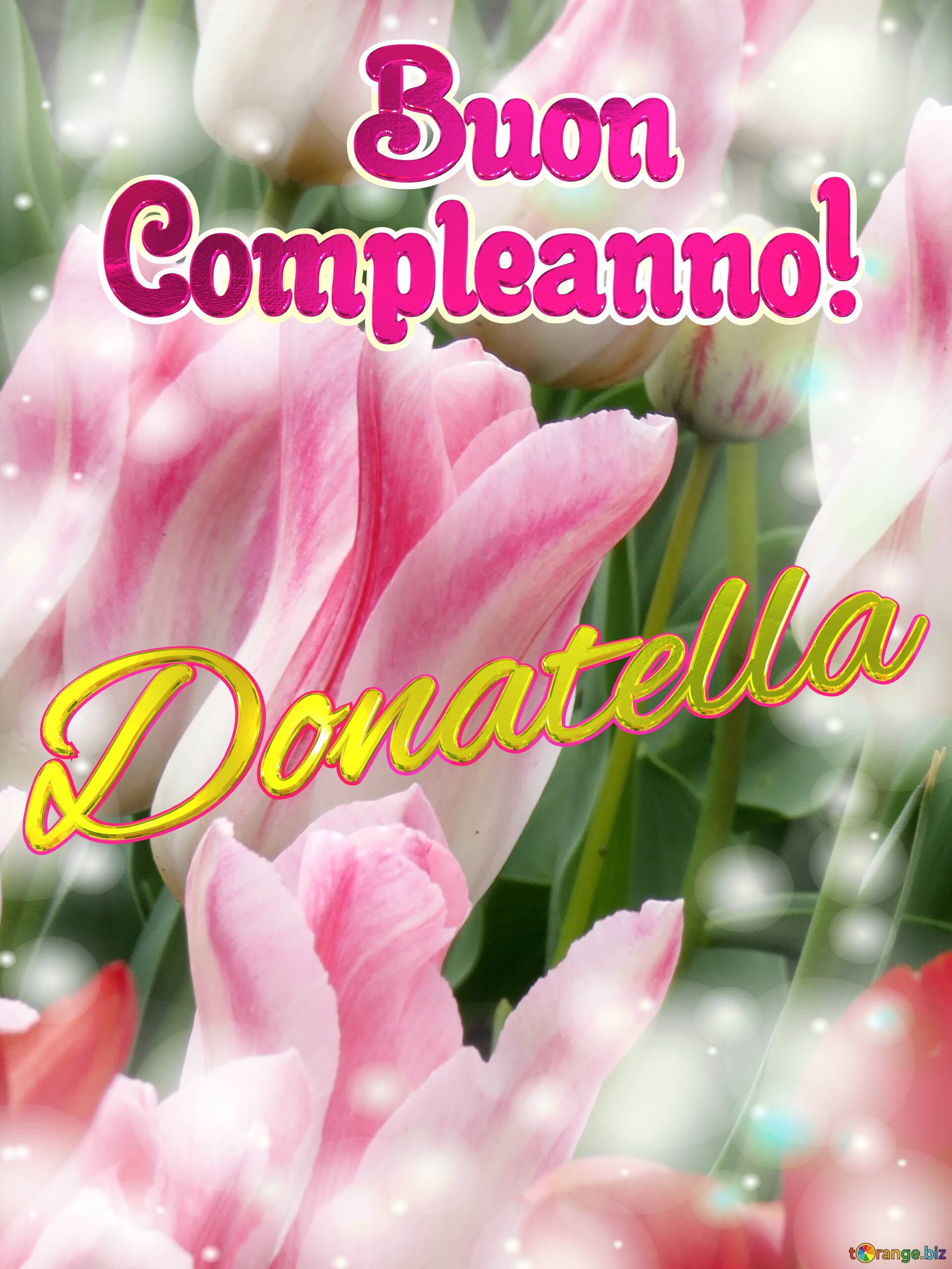       Buon  Compleanno! Donatella  Buona primavera, che questi tulipani ti portino la speranza e la felicità. №0