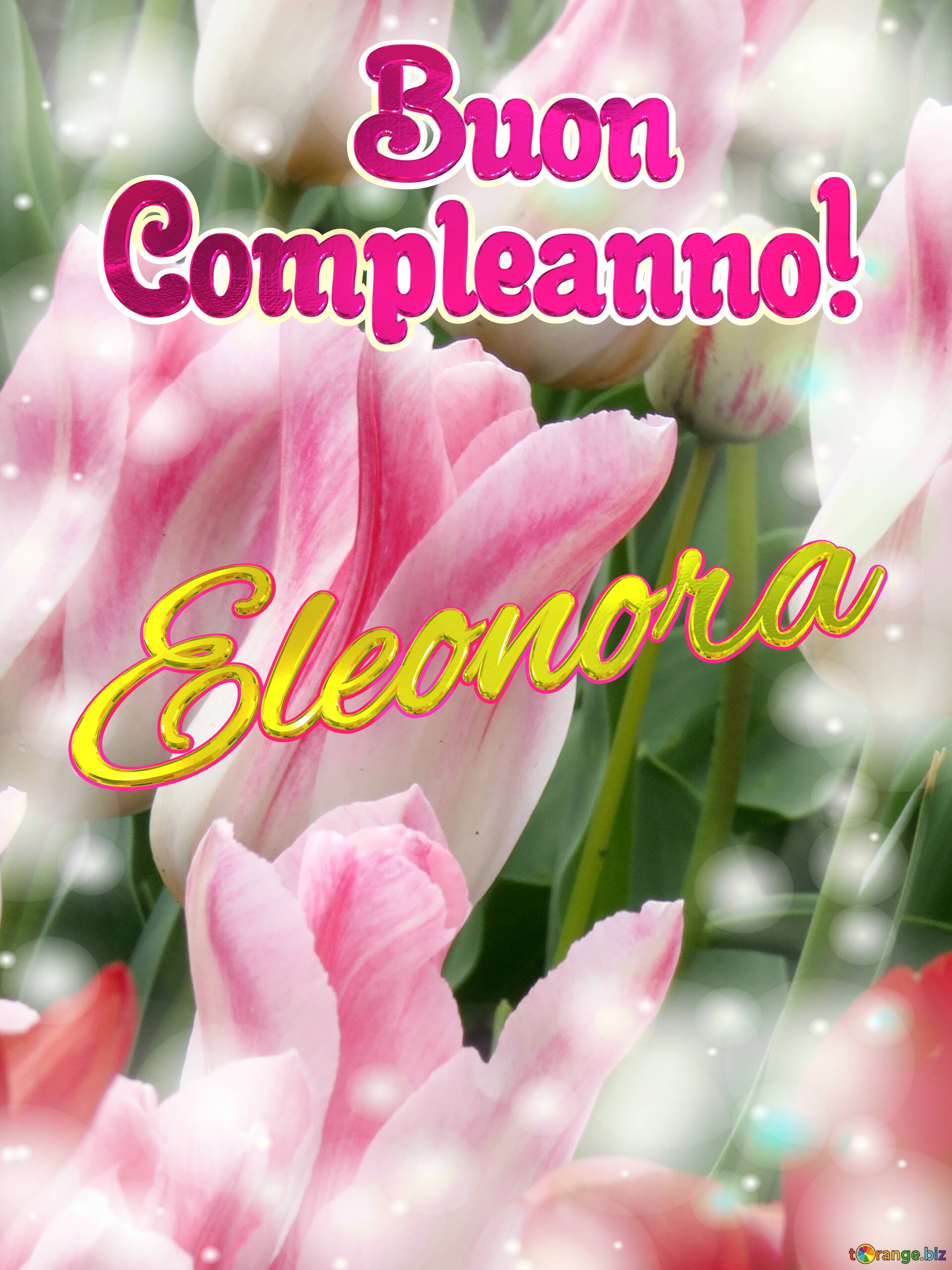       Buon  Compleanno! Eleonora  Buona primavera, che questi tulipani ti portino la speranza e la felicità. №0