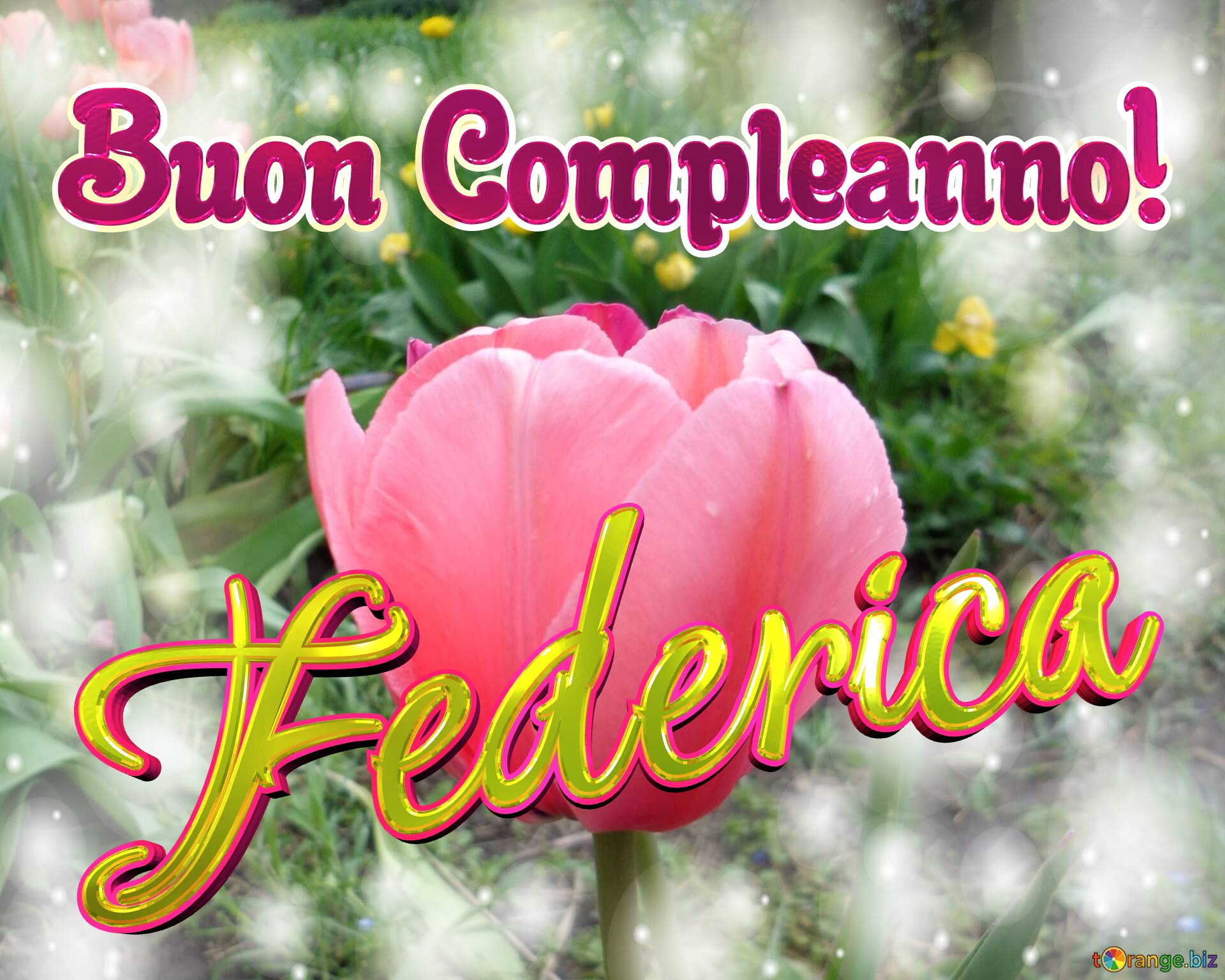 Buon Compleanno! Federica  Questi tulipani ti portano la bellezza e la felicità della vita, goditi ogni istante. №0