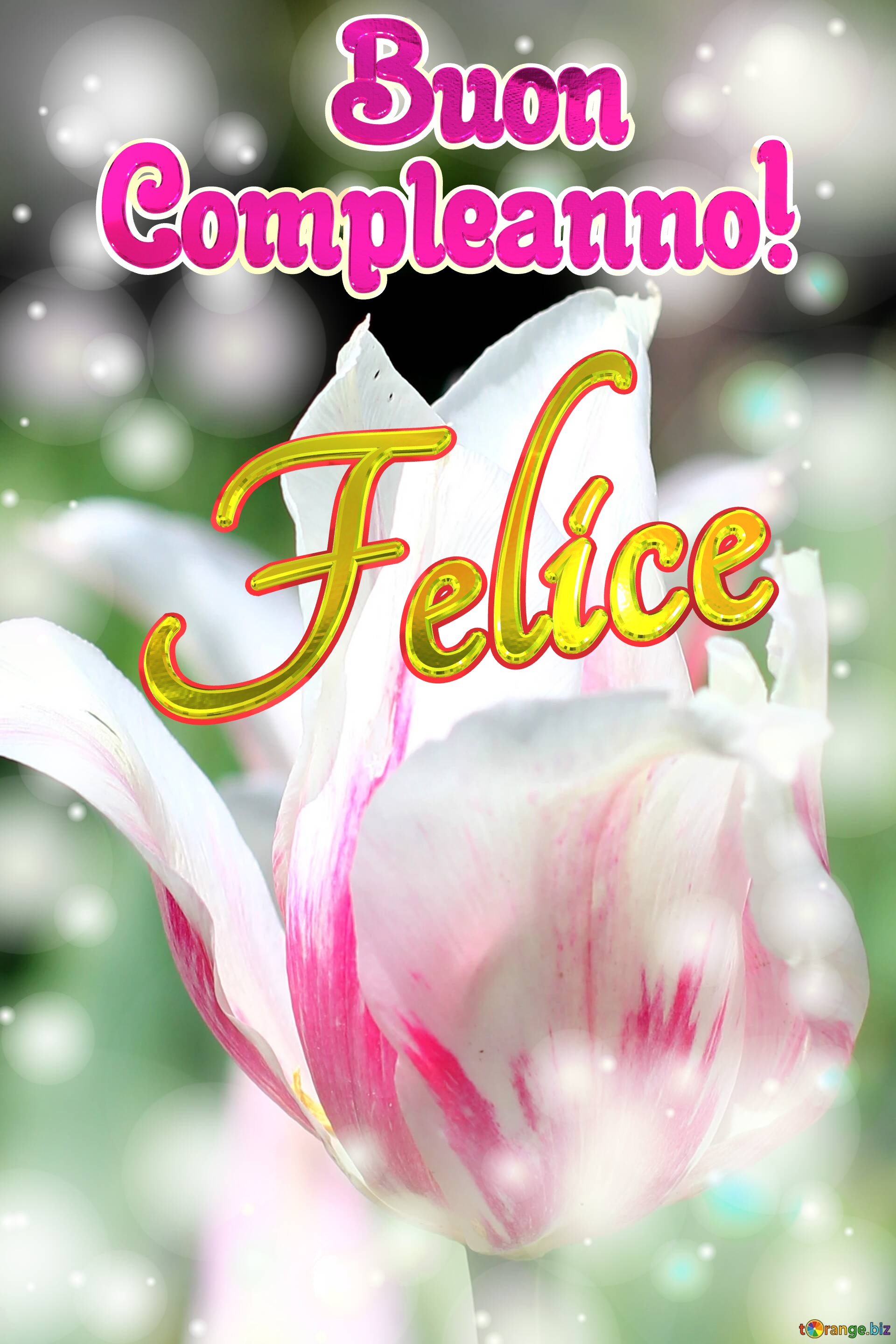       Buon  Compleanno! Felice  Buona primavera con questi bellissimi tulipani! №0