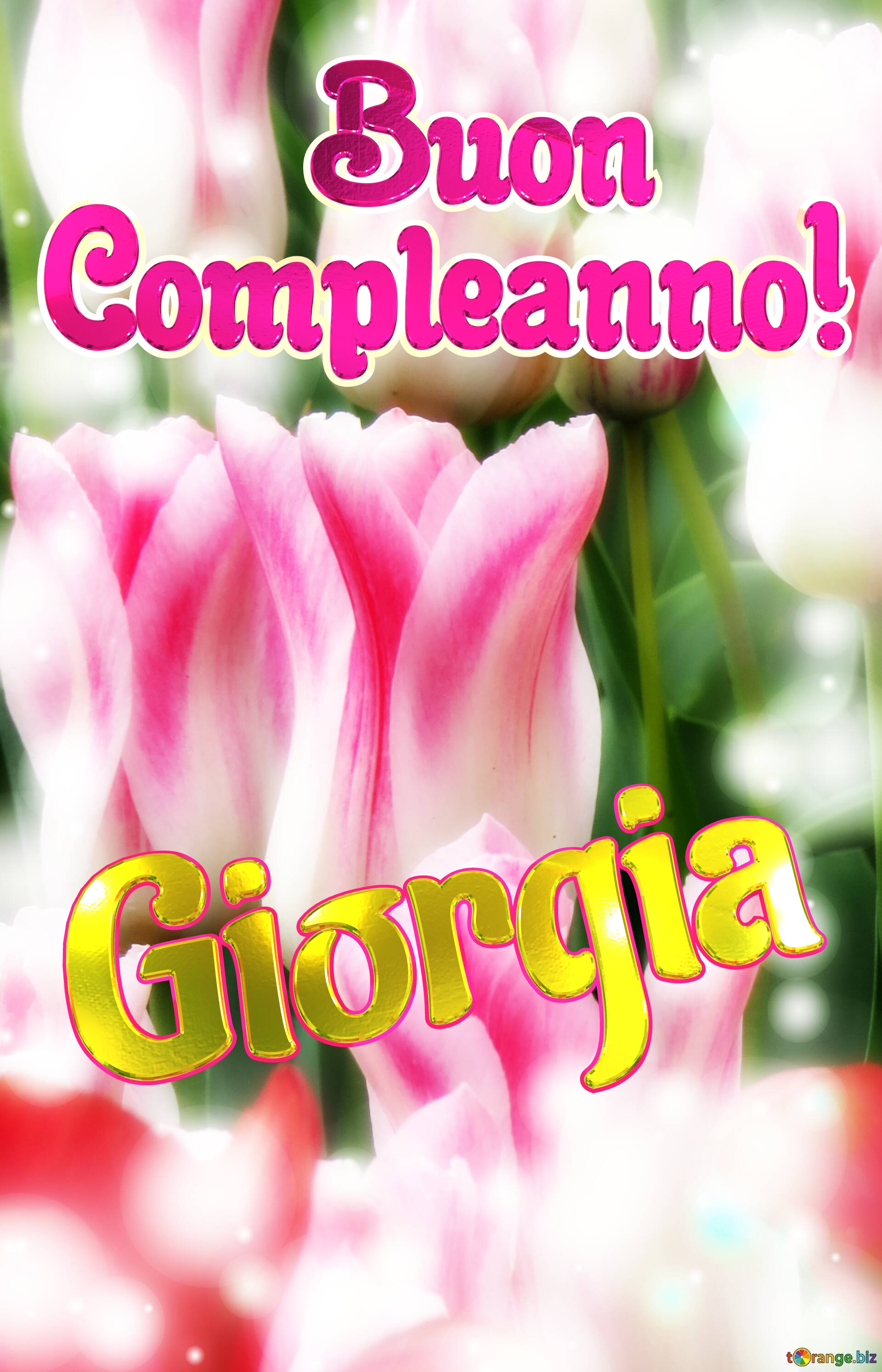       Buon  Compleanno! Giorgia  Che questi tulipani ti portino la forza e il coraggio per affrontare ogni giorno della tua vita. №0