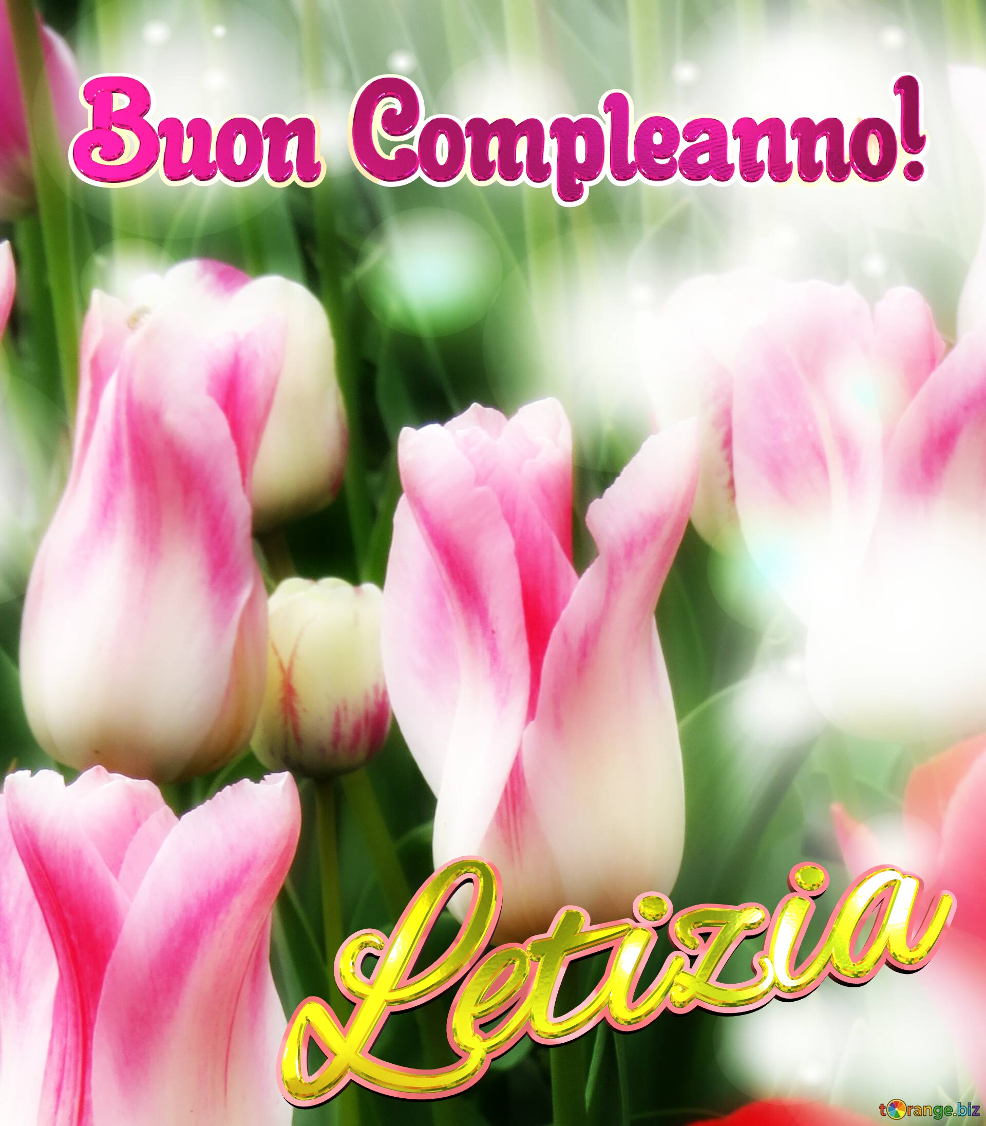 Buon Compleanno! Letizia  Questi tulipani ti portano la speranza per un futuro pieno di successi e felicità. №0