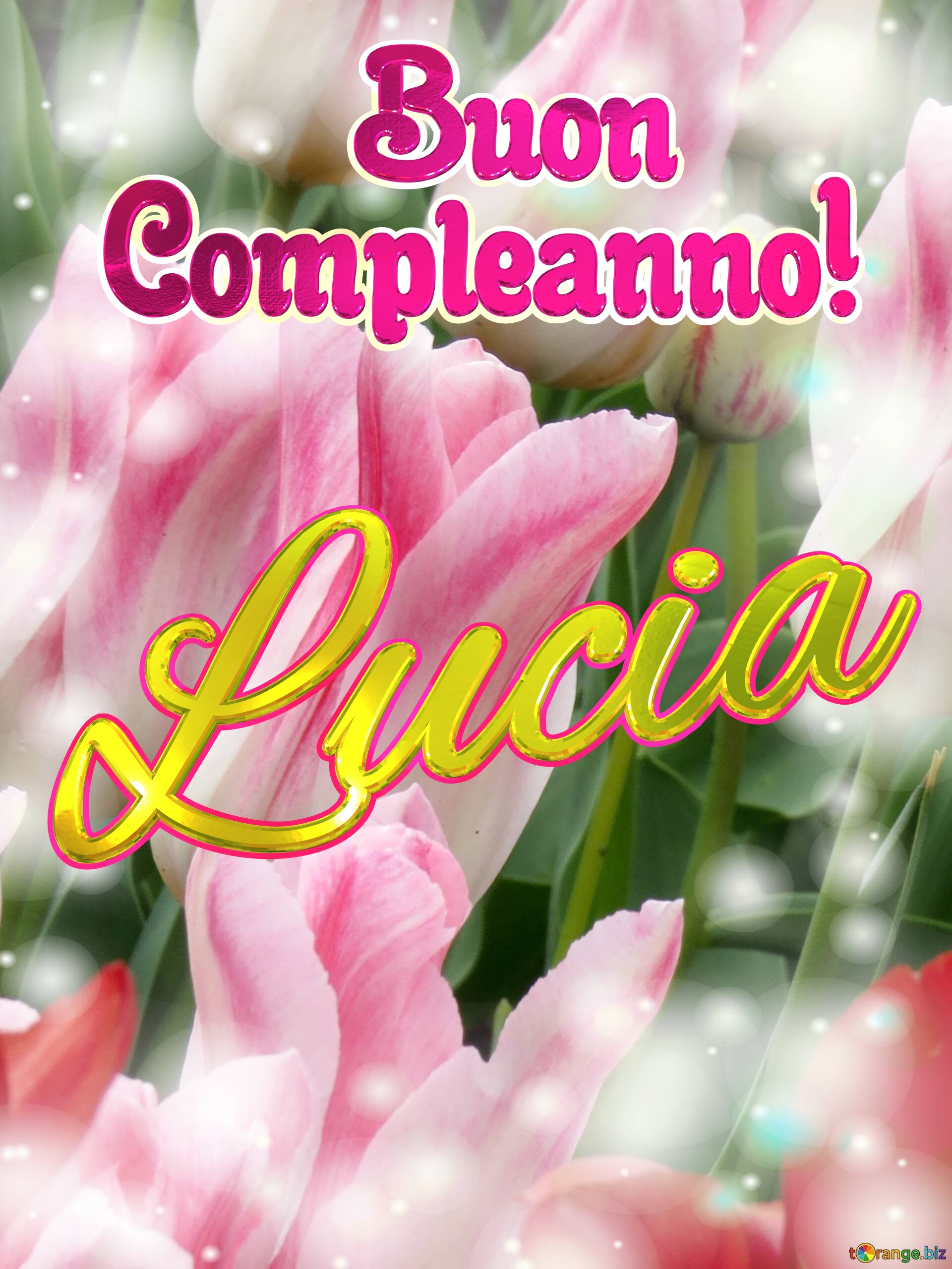       Buon  Compleanno! Lucia  Buona primavera, che questi tulipani ti portino la speranza e la felicità. №0