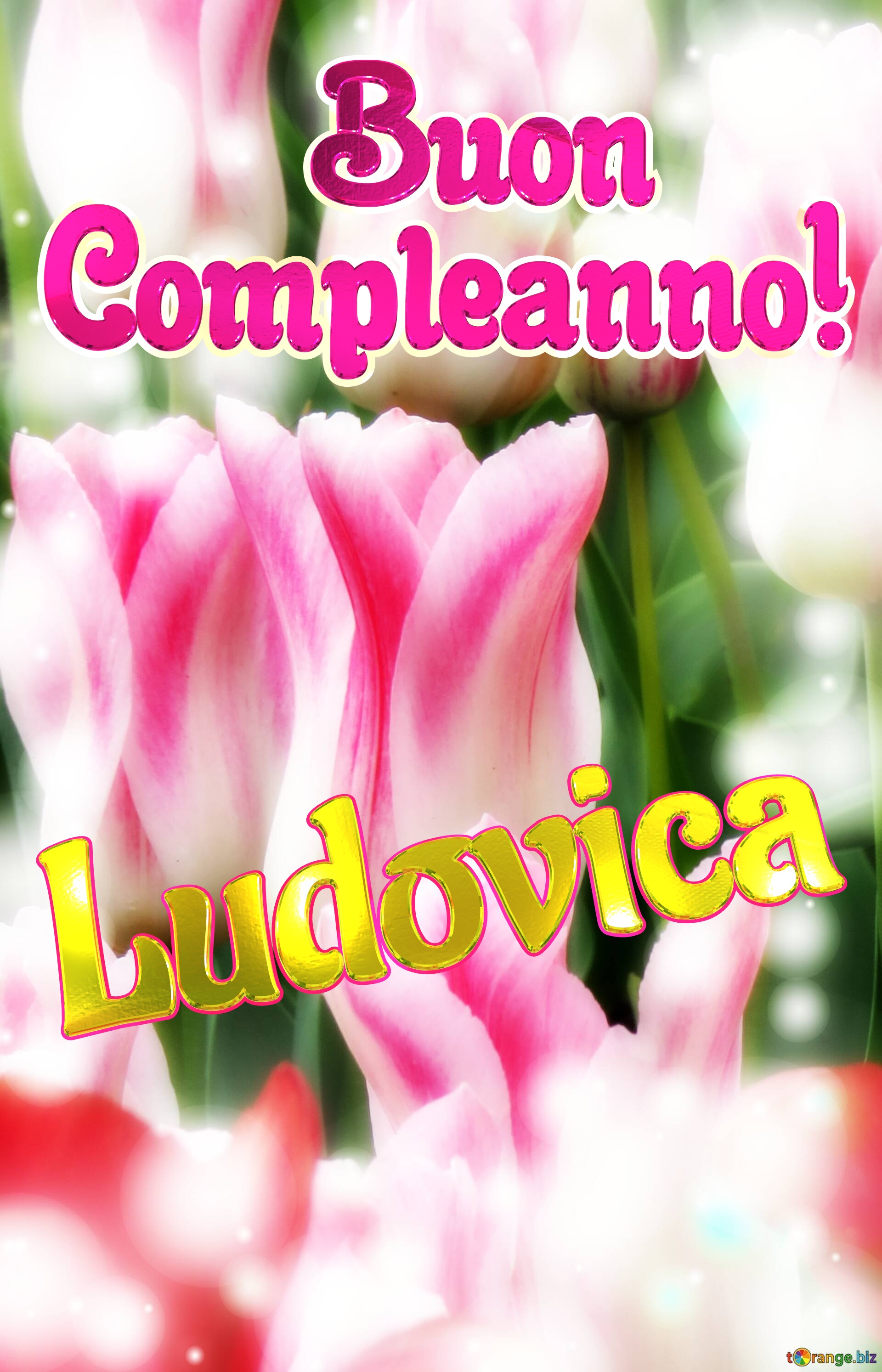       Buon  Compleanno! Ludovica  Che questi tulipani ti portino la forza e il coraggio per affrontare ogni giorno della tua vita. №0