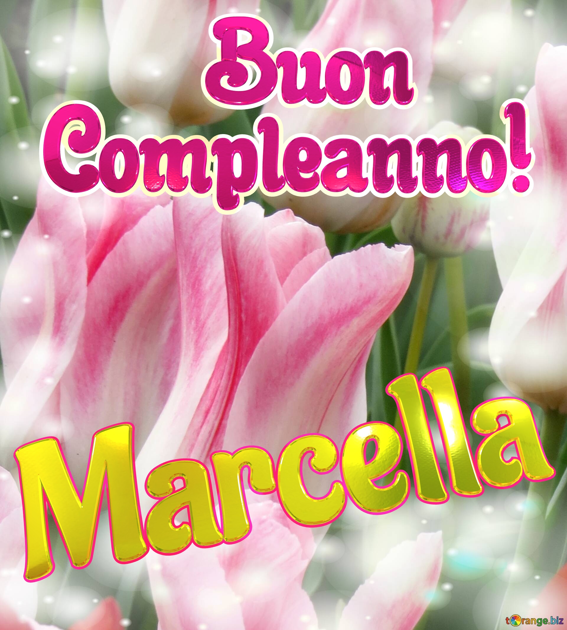       Buon  Compleanno! Marcella  La bellezza dei tulipani è un richiamo alla semplicità della vita, goditela al massimo. №0