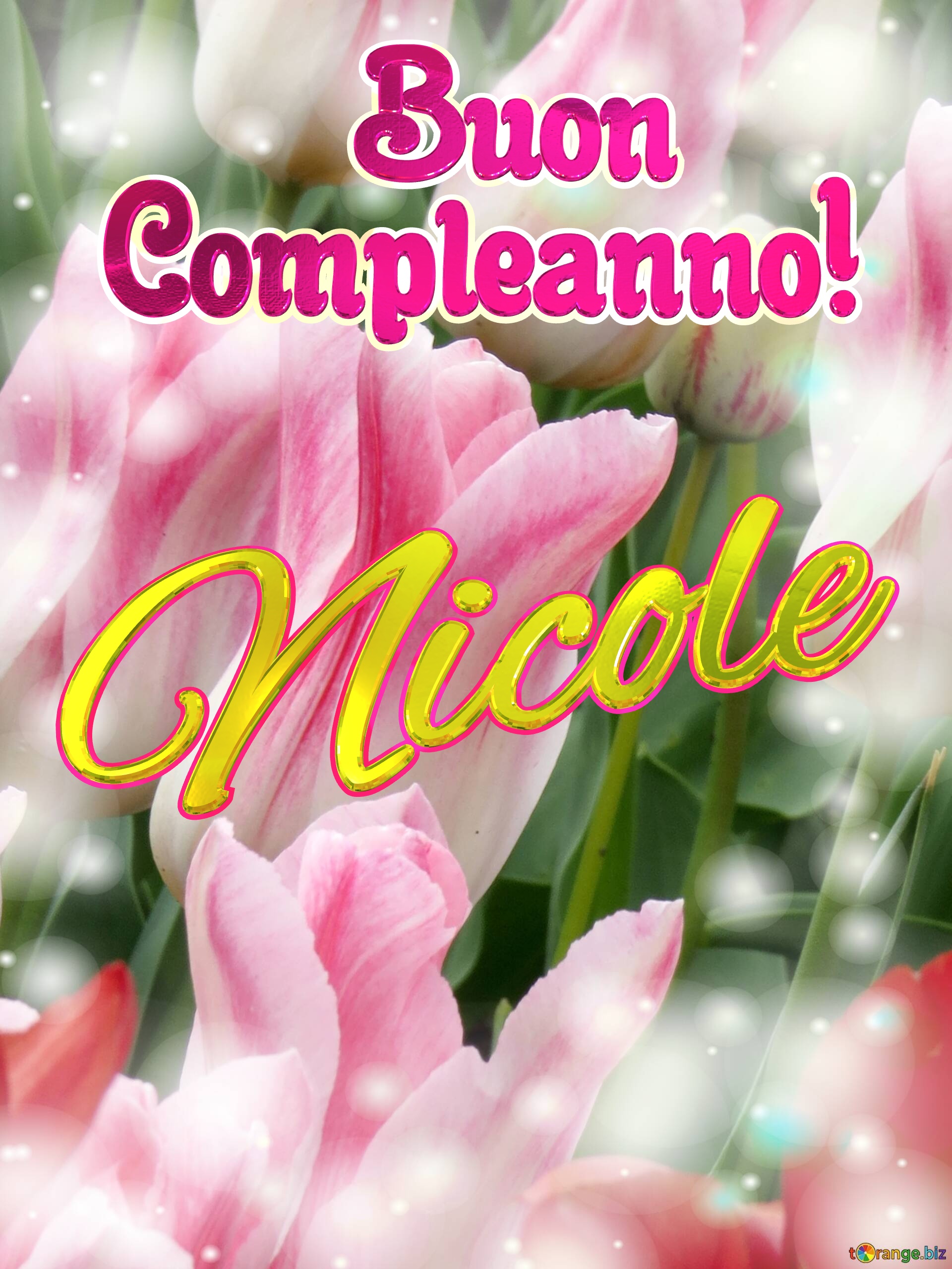       Buon  Compleanno! Nicole  Buona primavera, che questi tulipani ti portino la speranza e la felicità. №0