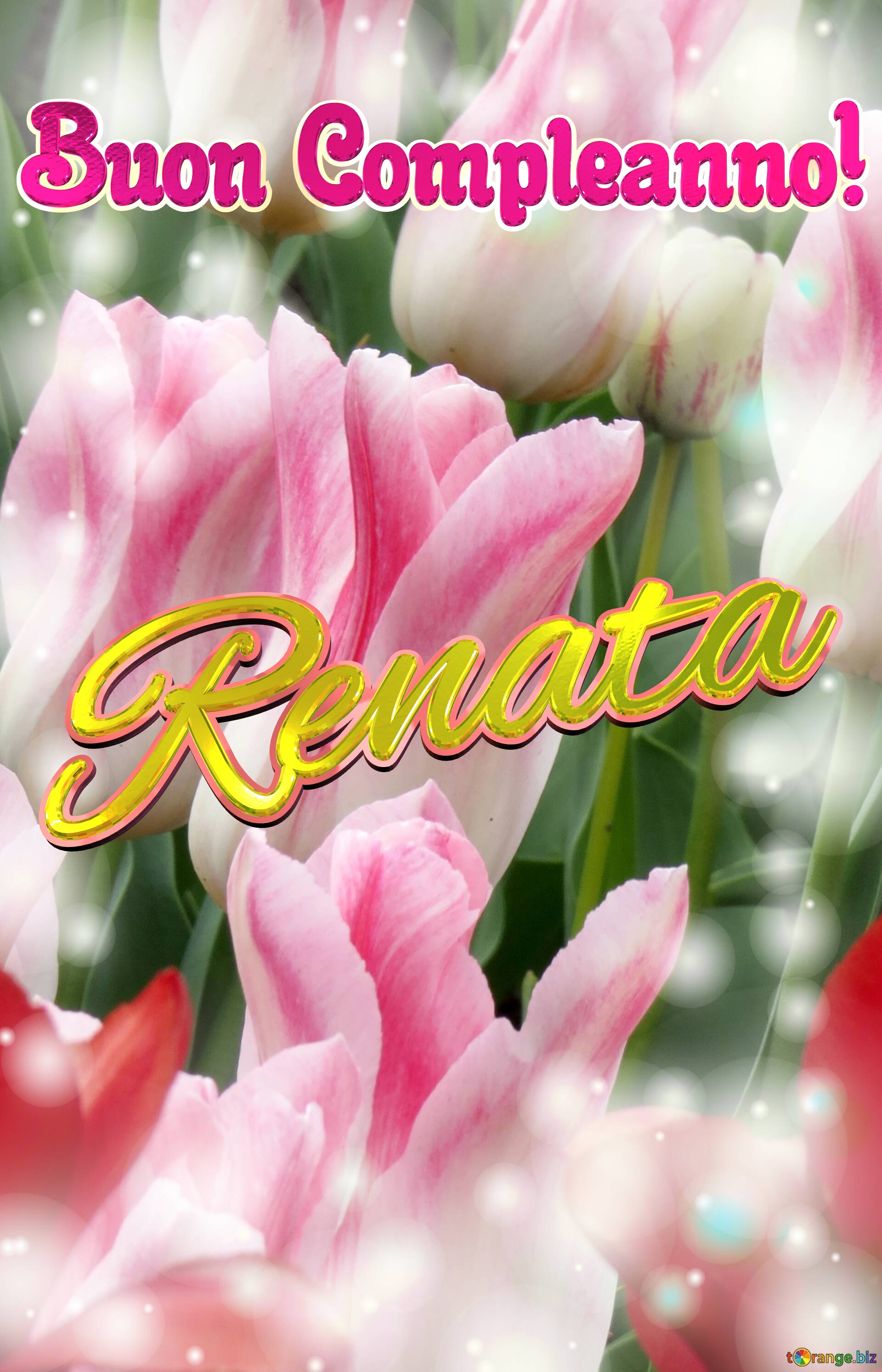 Buon Compleanno! Renata  La bellezza dei tulipani è un richiamo alla purezza della vita, auguri per una vita pura e bella. №0