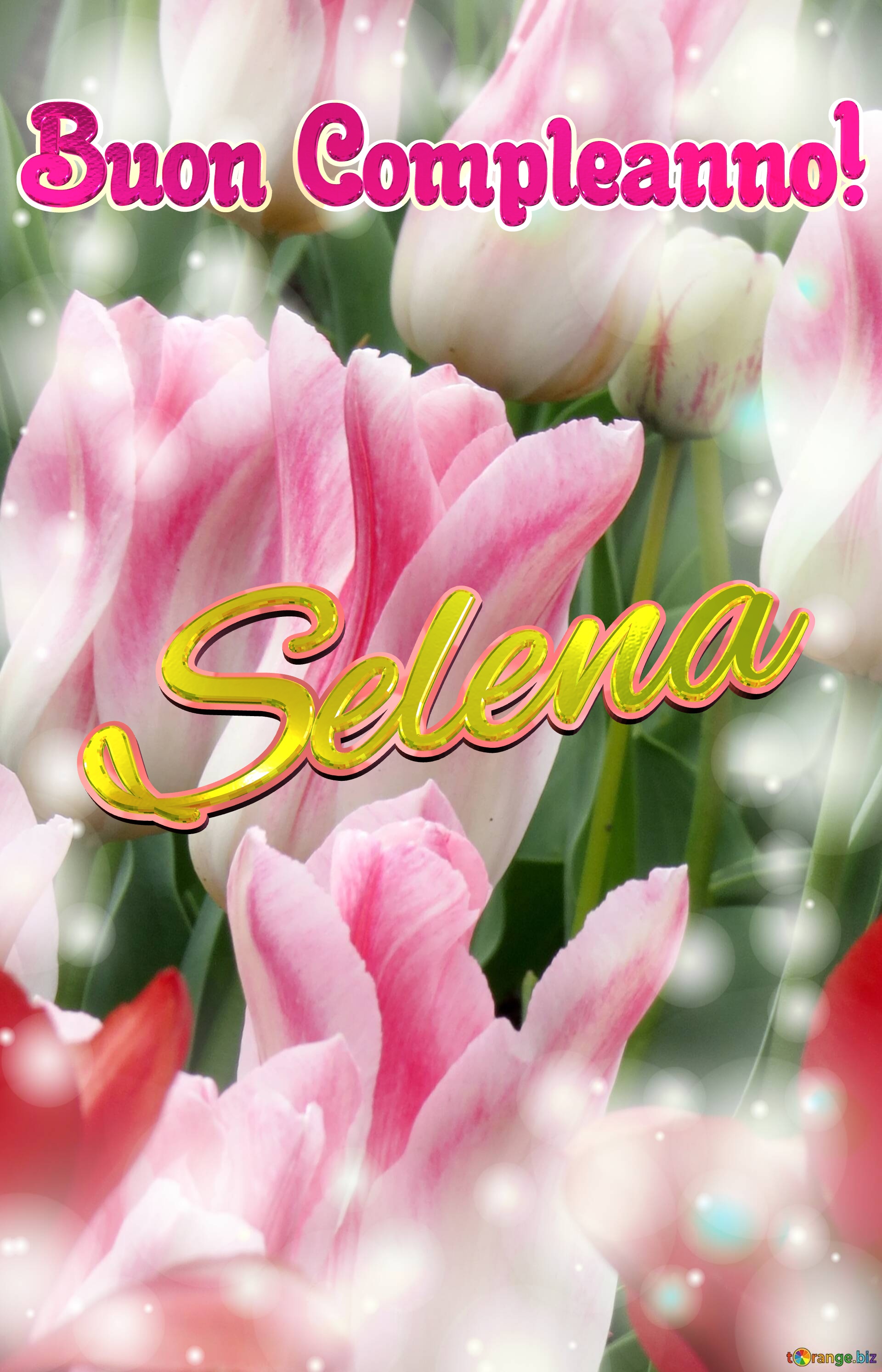 Buon Compleanno! Selena  La bellezza dei tulipani è un richiamo alla purezza della vita, auguri per una vita pura e bella. №0