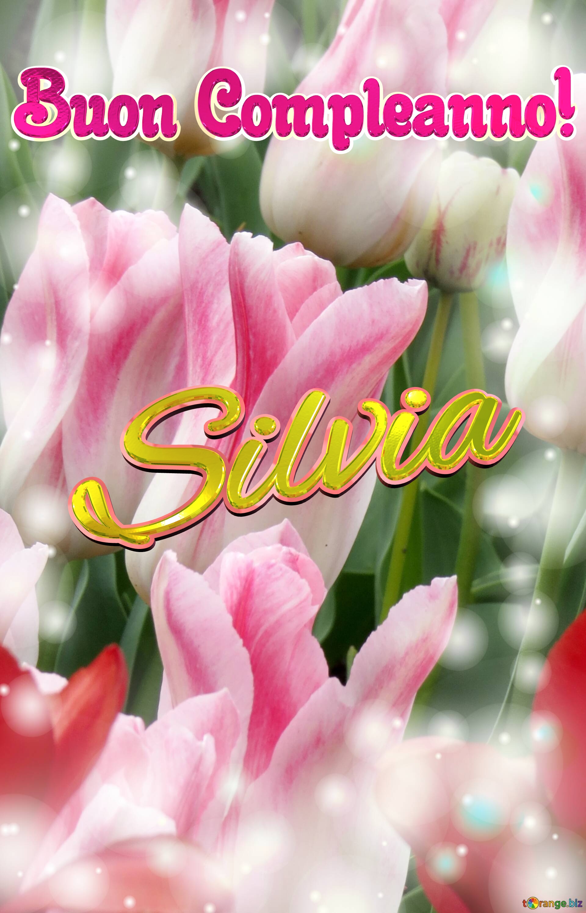 Buon Compleanno! Silvia  La bellezza dei tulipani è un richiamo alla purezza della vita, auguri per una vita pura e bella. №0