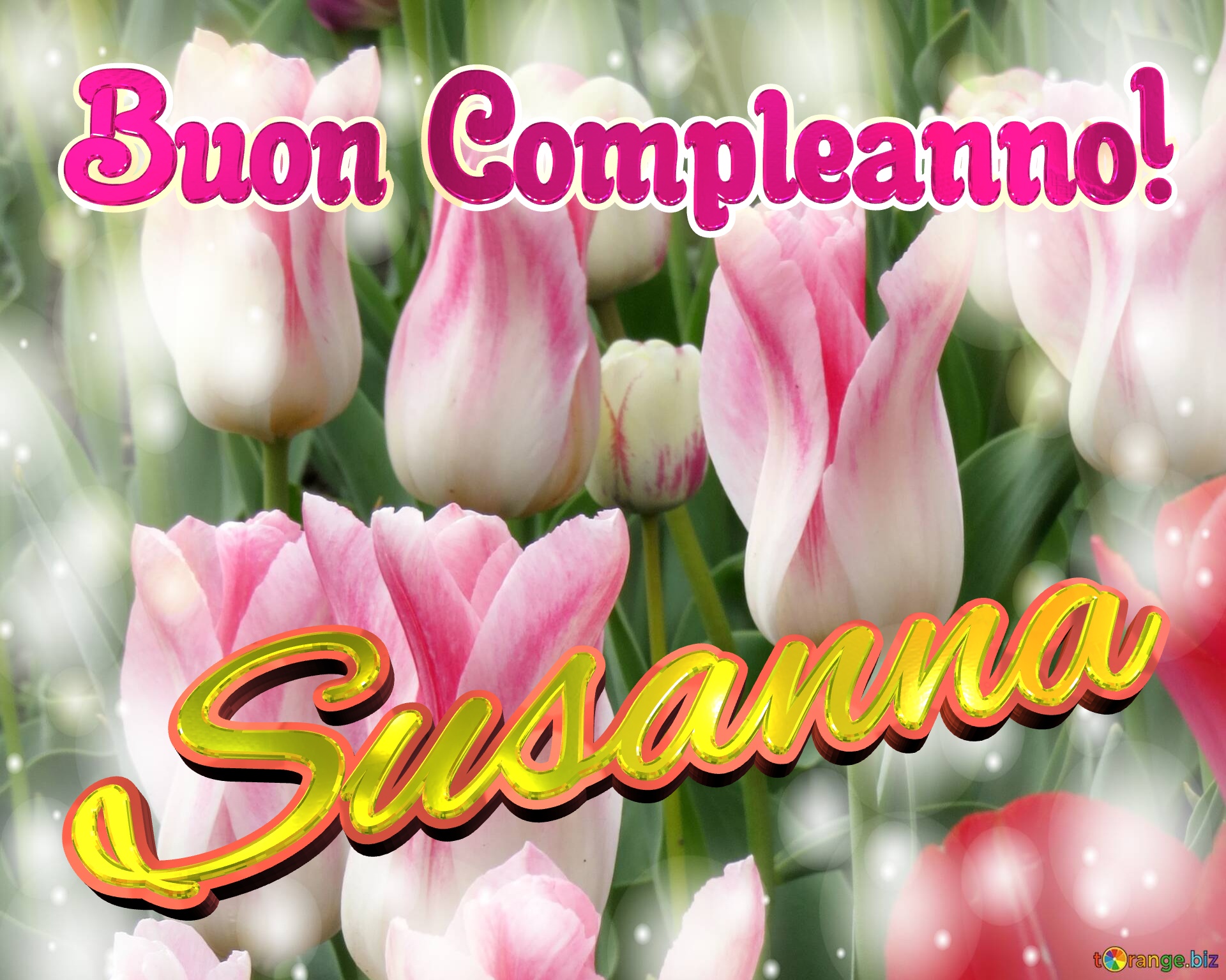 Buon Compleanno! Susanna  Questi tulipani ti portano l`energia della vita e la bellezza della natura. №0