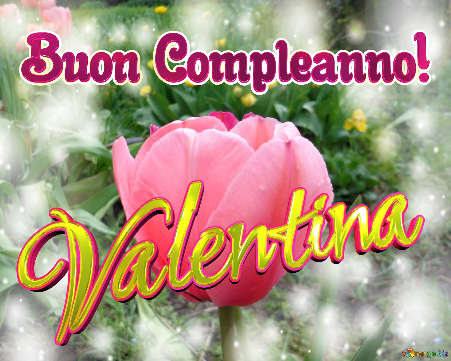 Buon Compleanno! Valentina  Questi tulipani ti portano la bellezza e la felicità della vita, goditi ogni istante. №0
