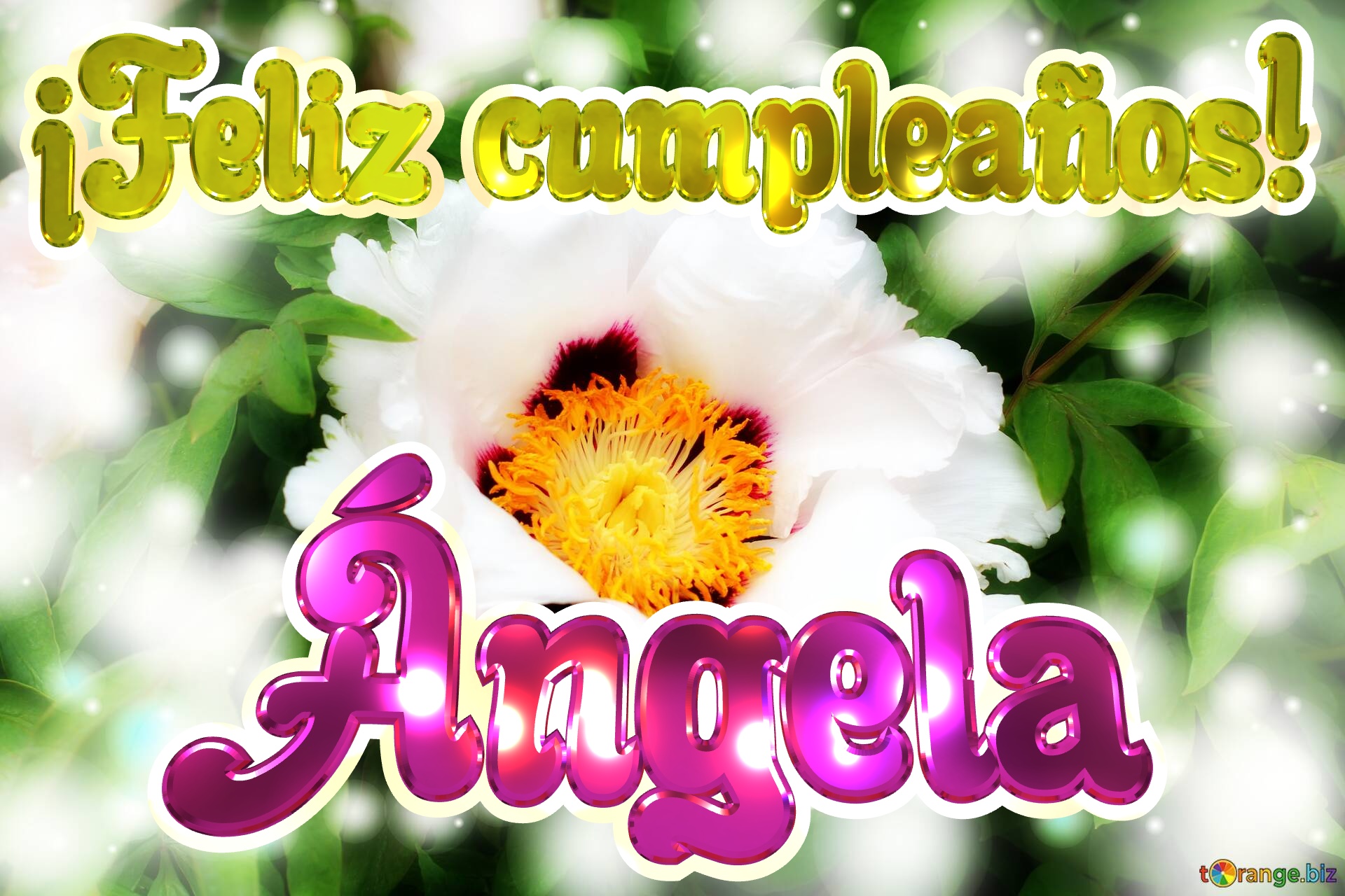 ¡Feliz cumpleaños! Ángela  White nature flower background №0
