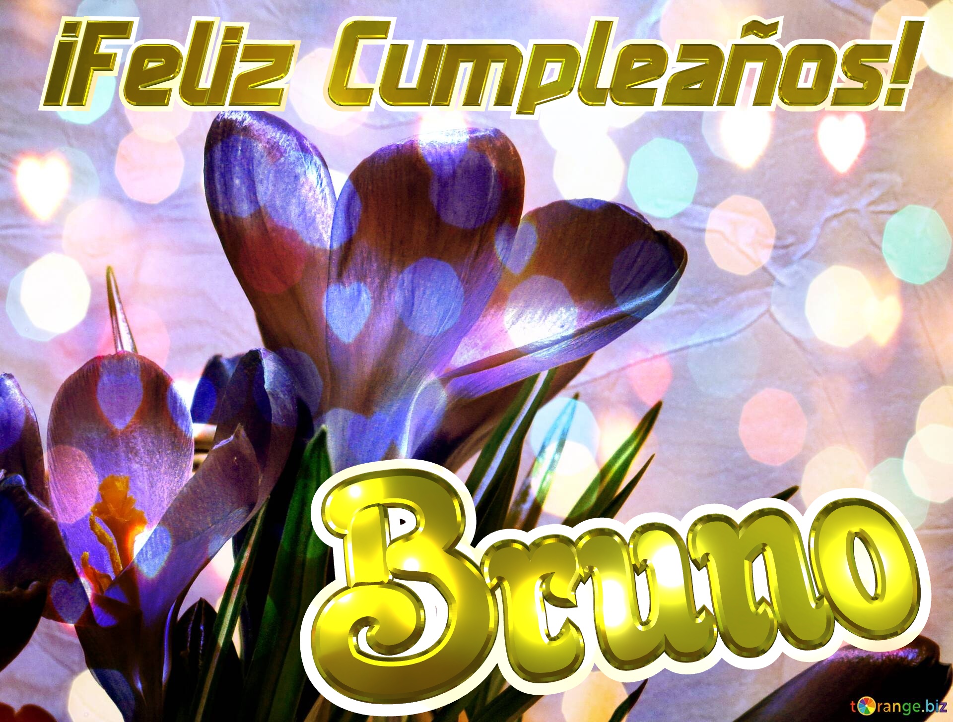 ¡Feliz Cumpleaños! Bruno  Aromas Florales №0