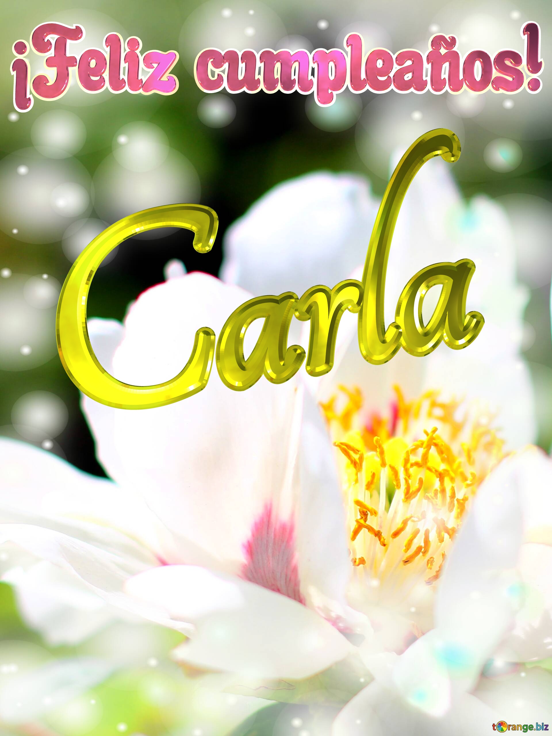 ¡Feliz cumpleaños! Carla  Flores de la primavera: una explosión de color para celebrar №0