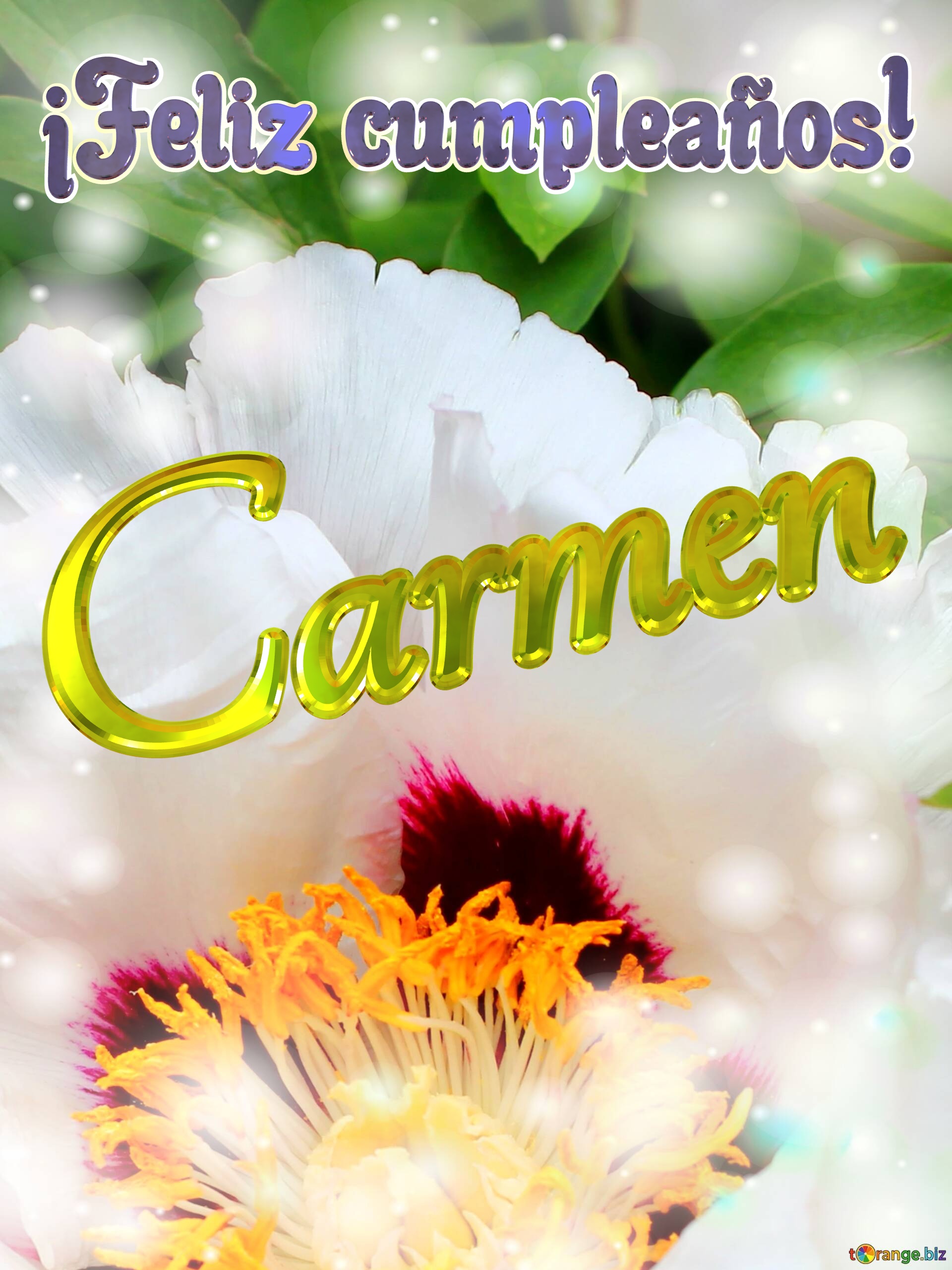 ¡Feliz cumpleaños! Carmen  Flores para el alma: un bálsamo para los momentos difíciles №0