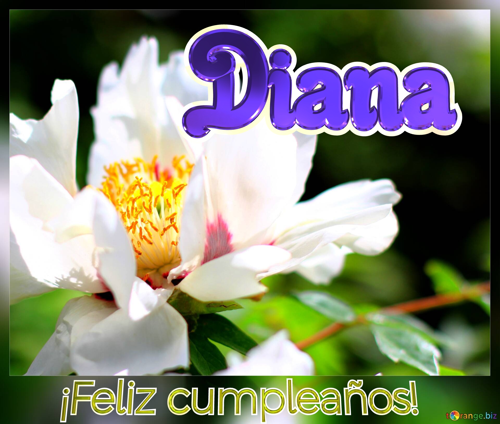 ¡Feliz cumpleaños! Diana  Un ramo de felicidad: regala flores con este fondo №0