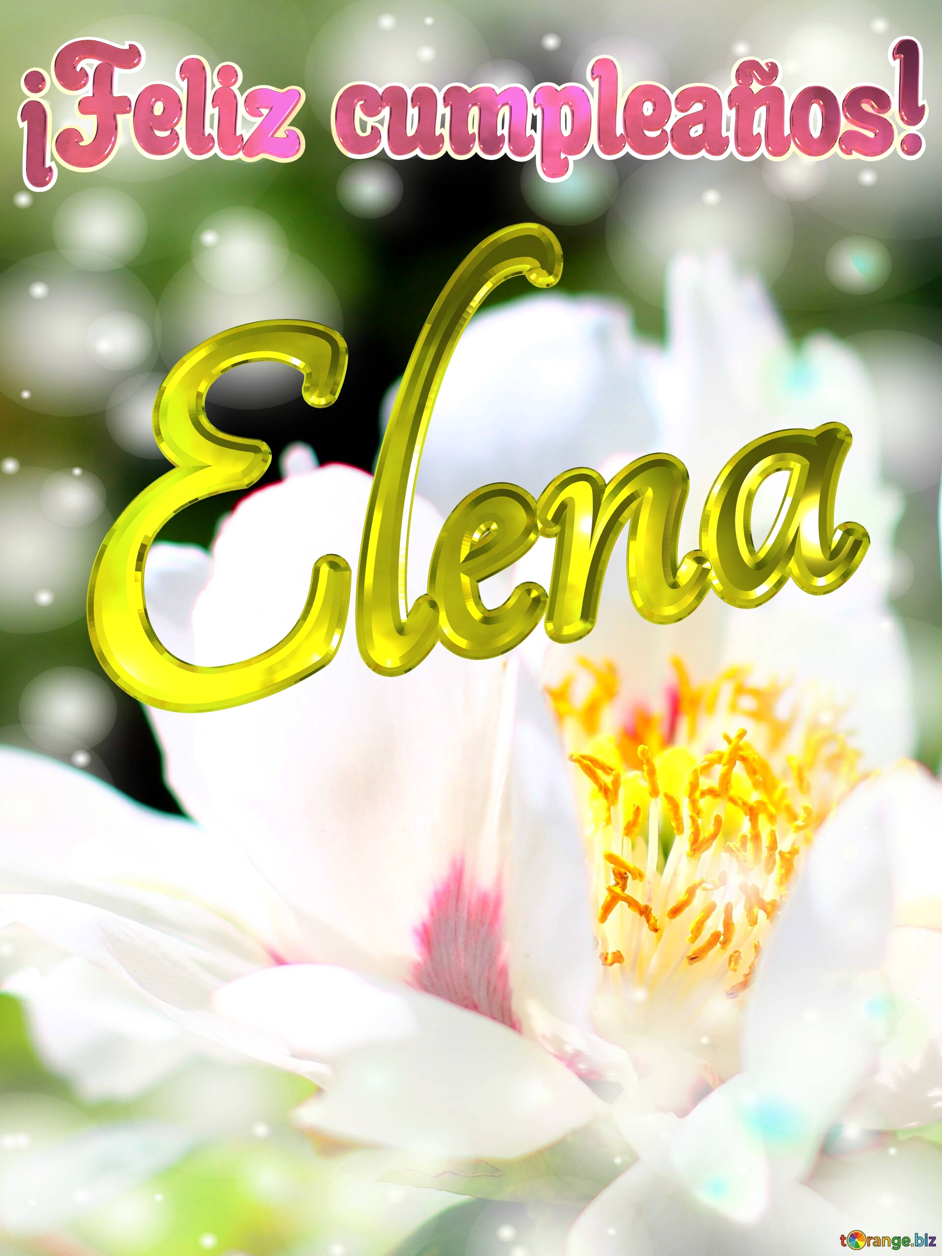¡Feliz cumpleaños! Elena  Flores de la primavera: una explosión de color para celebrar №0