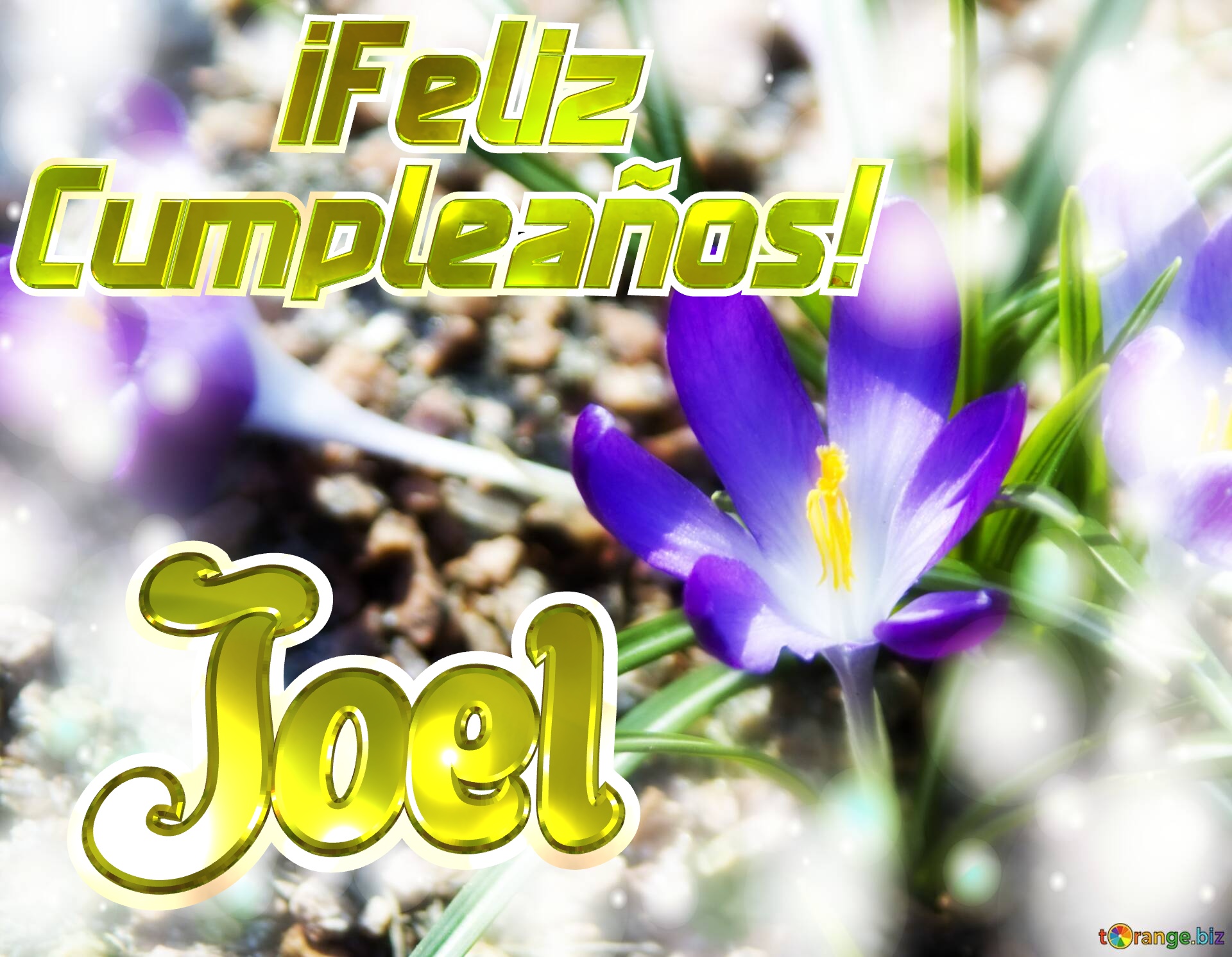      ¡Feliz  Cumpleaños! Joel  Paisaje de Flores №0