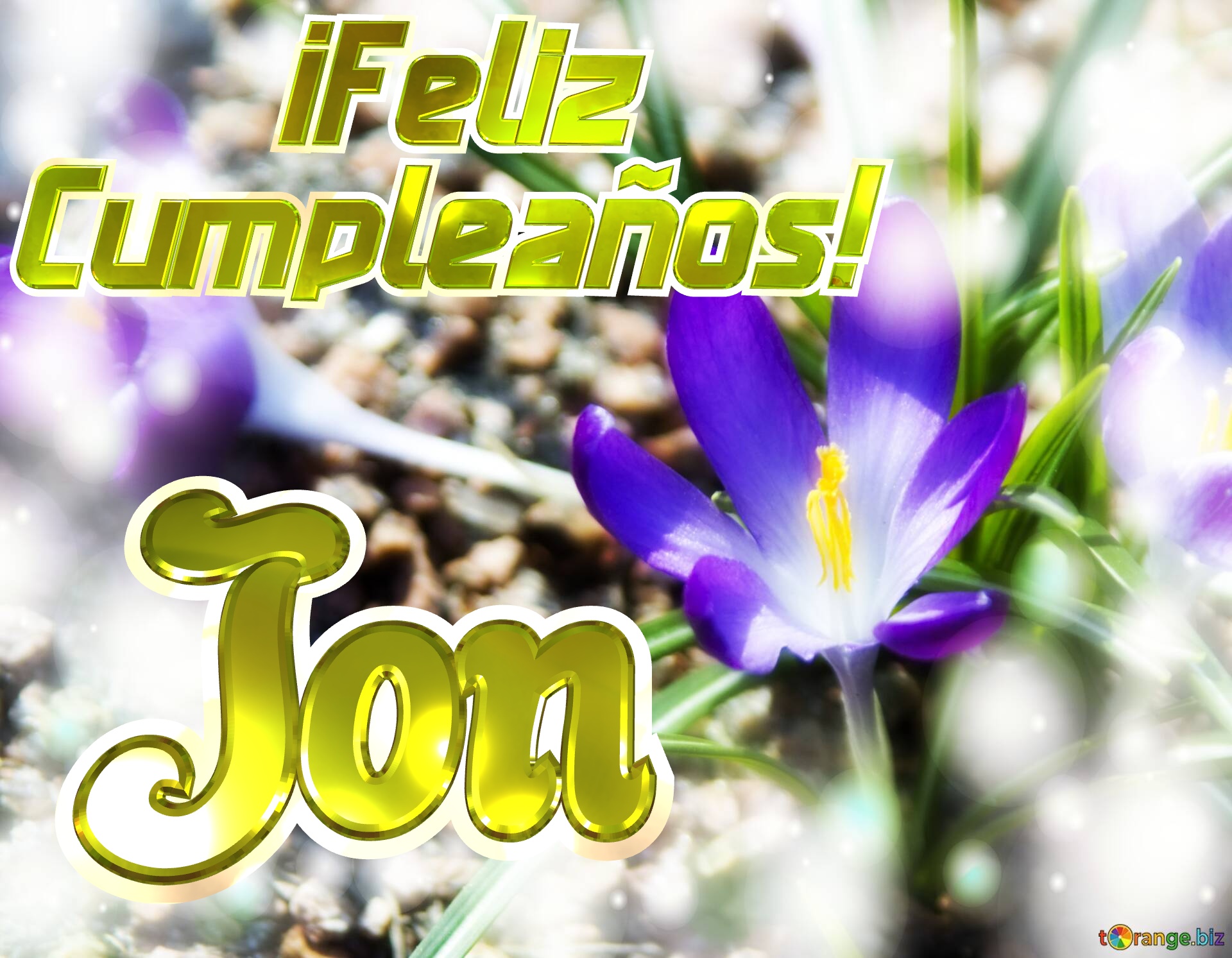      ¡Feliz  Cumpleaños! Jon  Paisaje de Flores №0