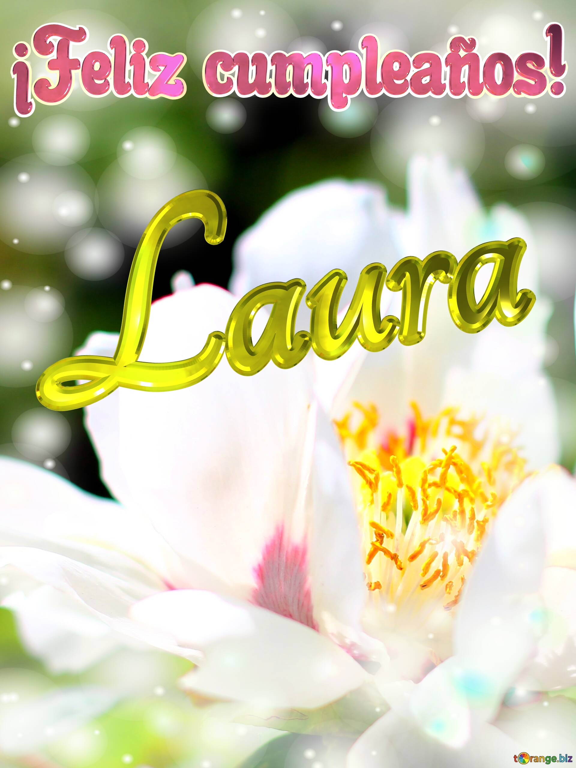 ¡Feliz cumpleaños! Laura  Flores de la primavera: una explosión de color para celebrar №0