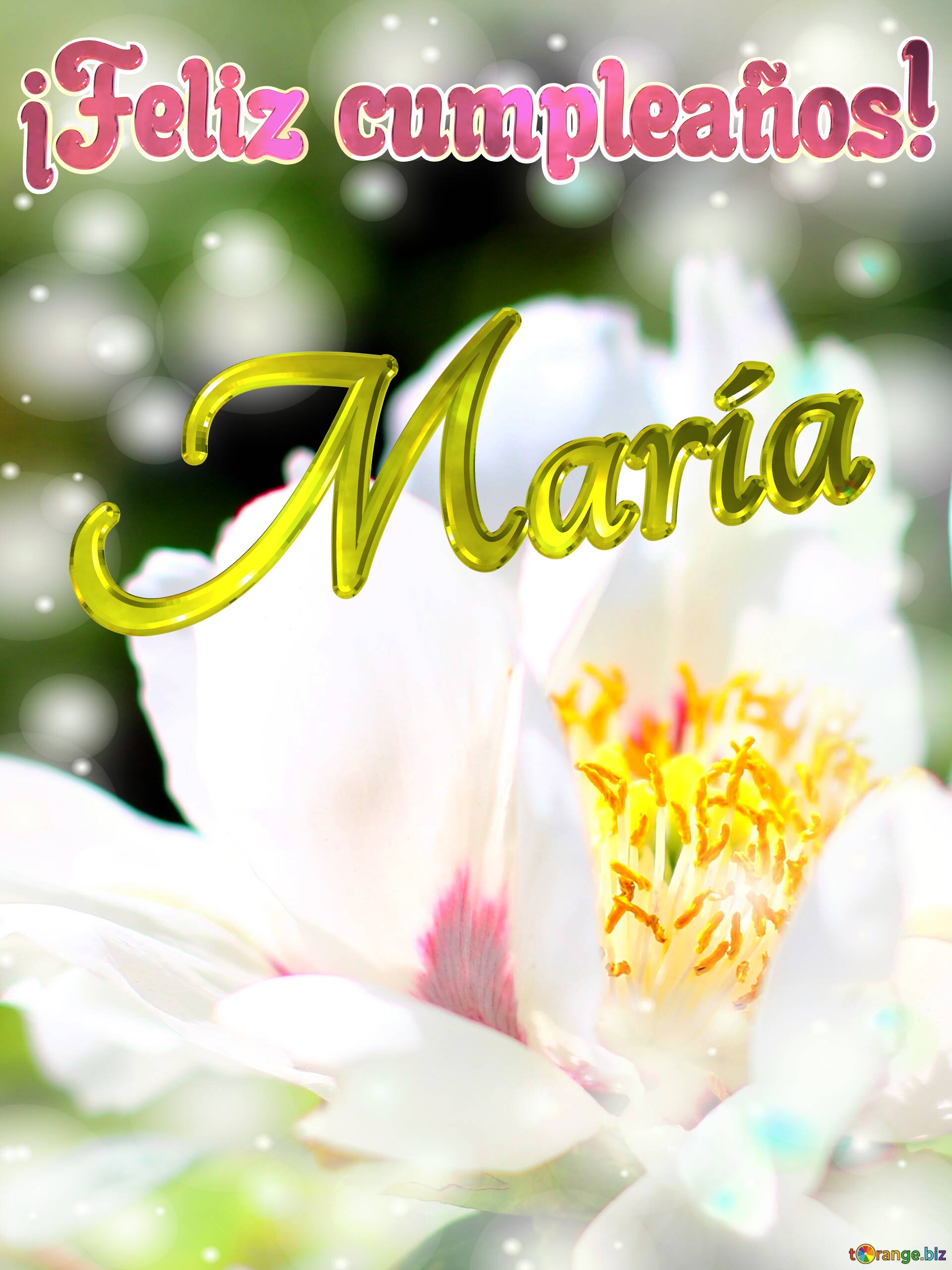 ¡Feliz cumpleaños! María  Flores de la primavera: una explosión de color para celebrar №0