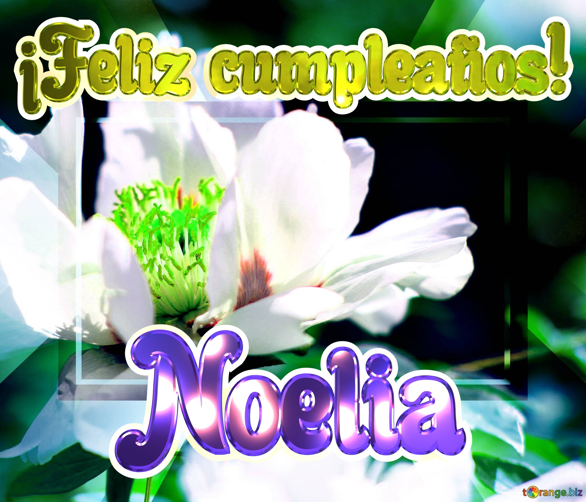 ¡Feliz cumpleaños! Noelia  Flores en armonía: una sinfonía de colores y formas №0