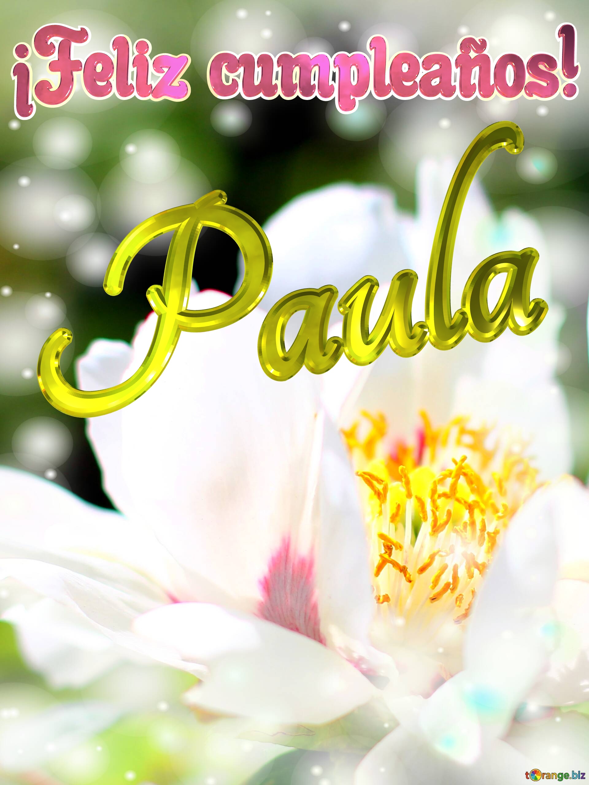 ¡Feliz cumpleaños! Paula  Flores de la primavera: una explosión de color para celebrar №0