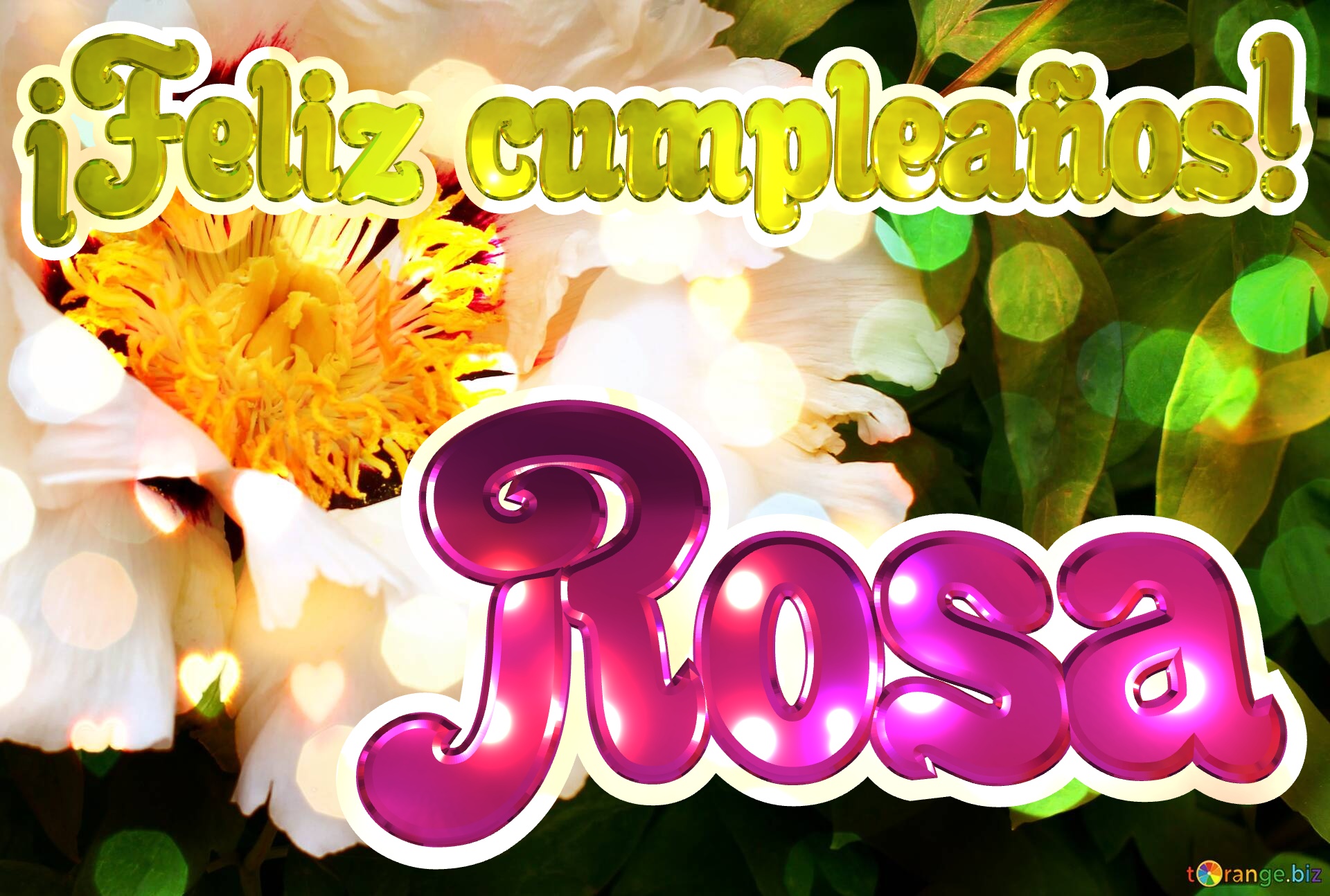 ¡Feliz cumpleaños! Rosa  El poder de la naturaleza: flores que nos llenan de energía №0
