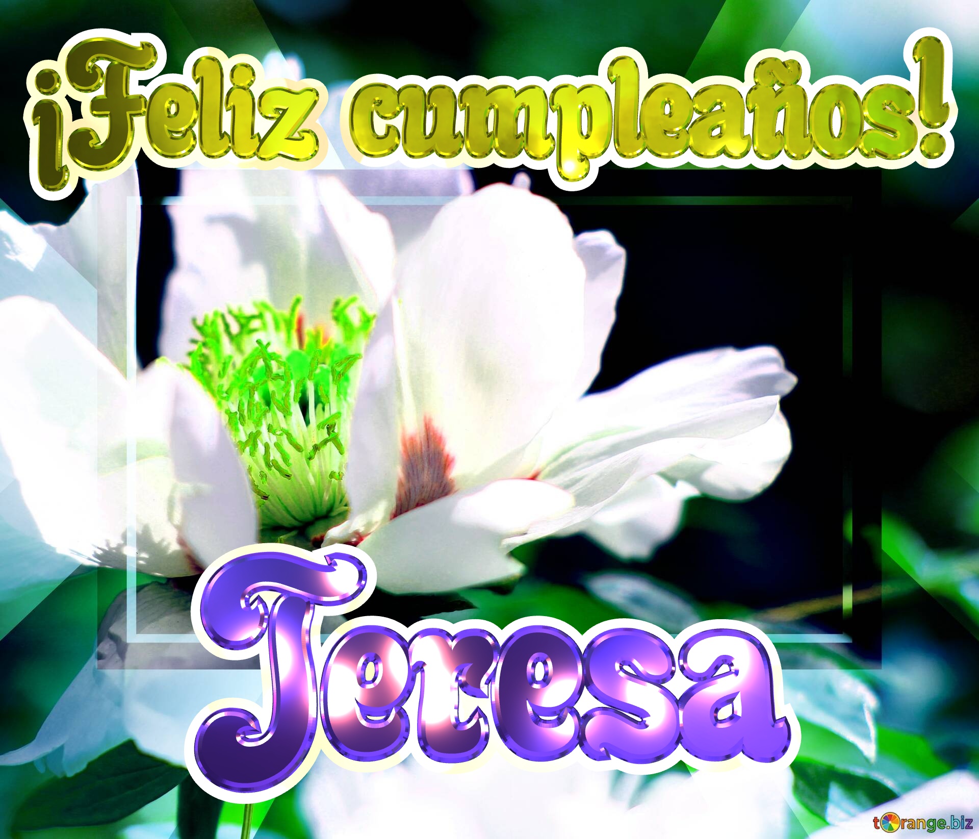 ¡Feliz cumpleaños! Teresa  Flores en armonía: una sinfonía de colores y formas №0